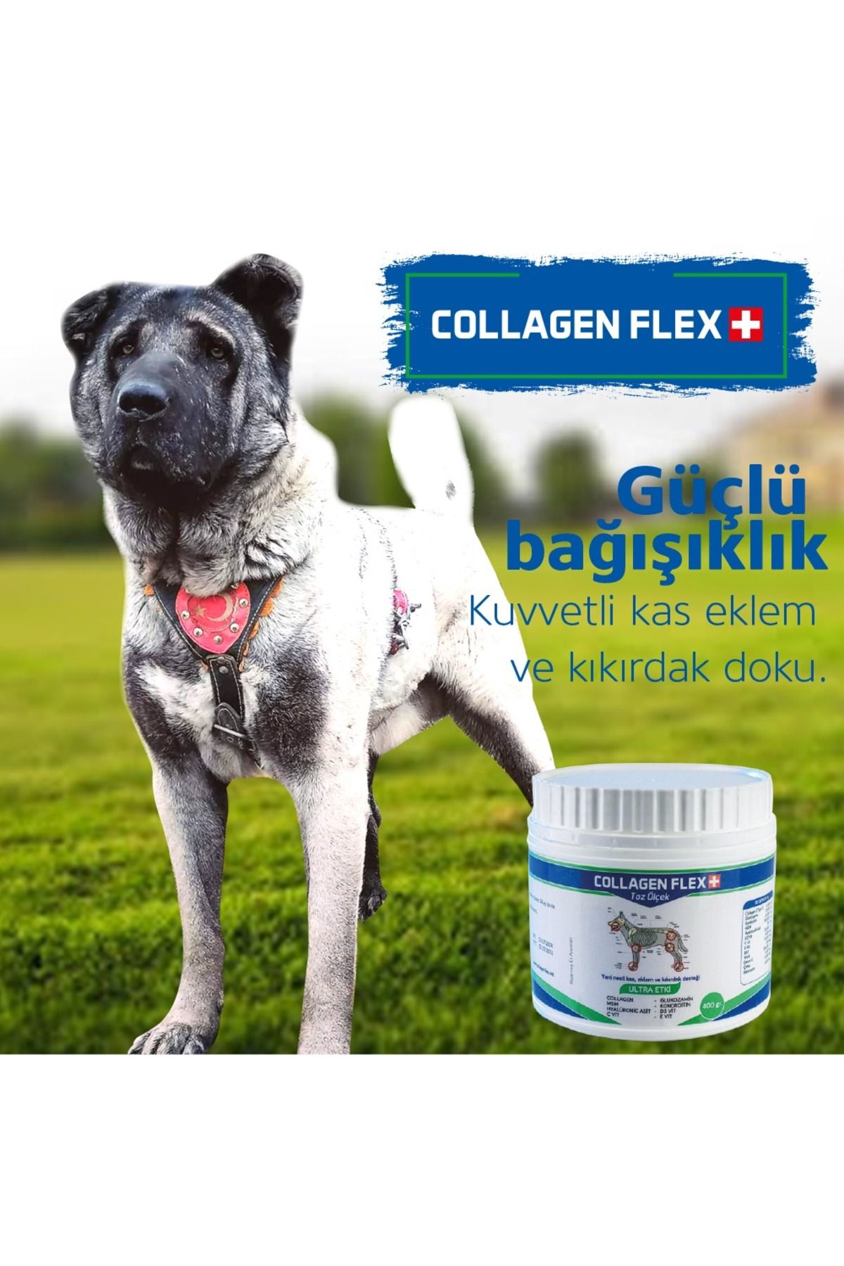 Collagenflex Royal ProBacterium Yüksek Değerl...