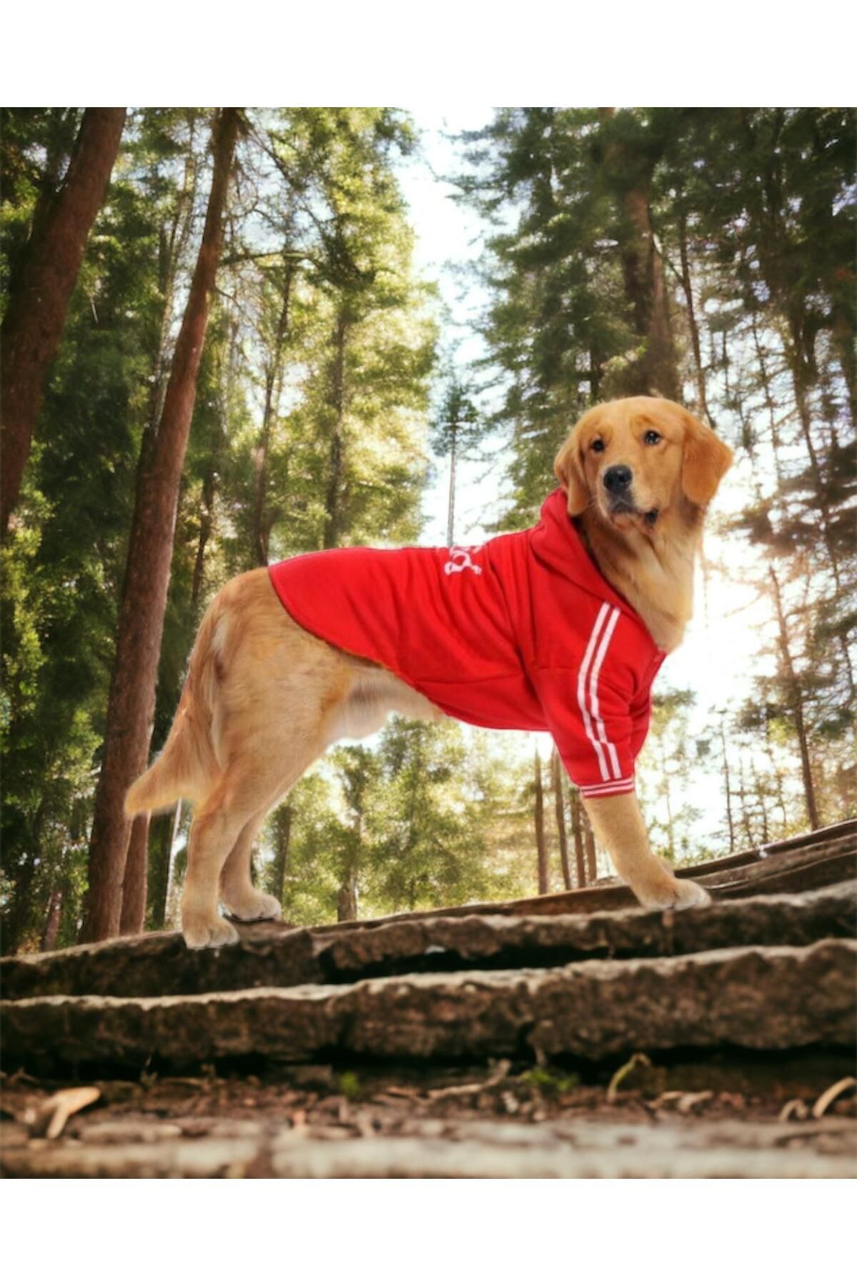 Kırmızı Adidog 10-45kg Köpek Sweatshirt, Hoodie, Orta Ve Büyük Irklar Için