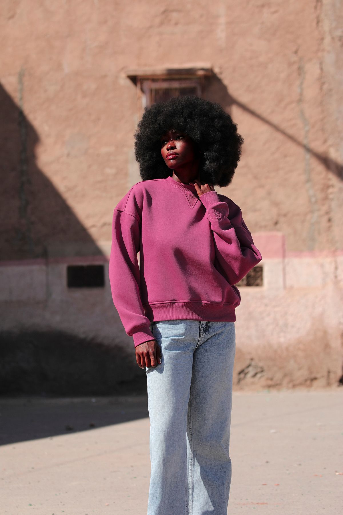 Bonita Berry Oversize Yarım Crop Sweatshirt