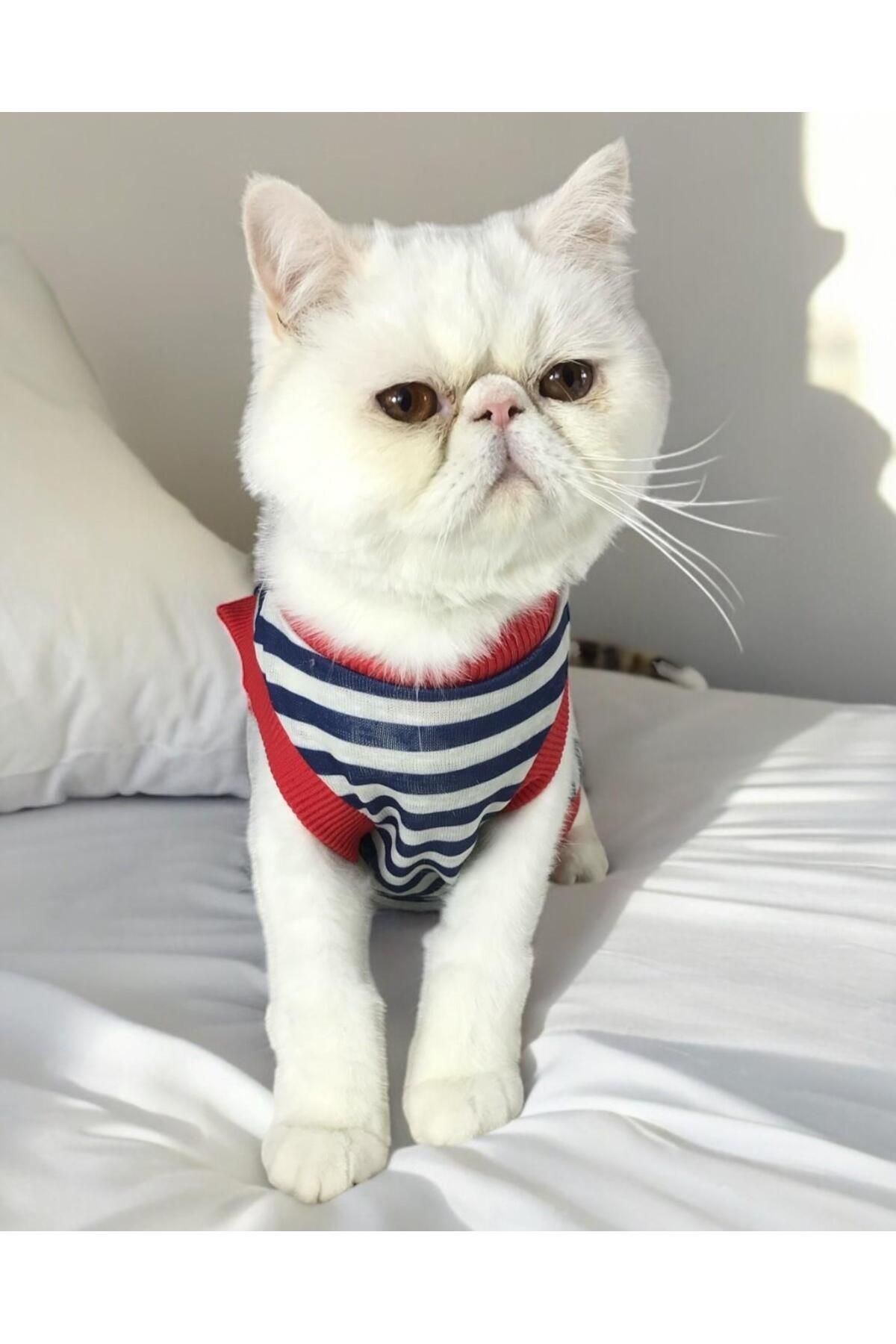 Kemique Cat Nautical SummerAtlet Kedi Kıyafet...