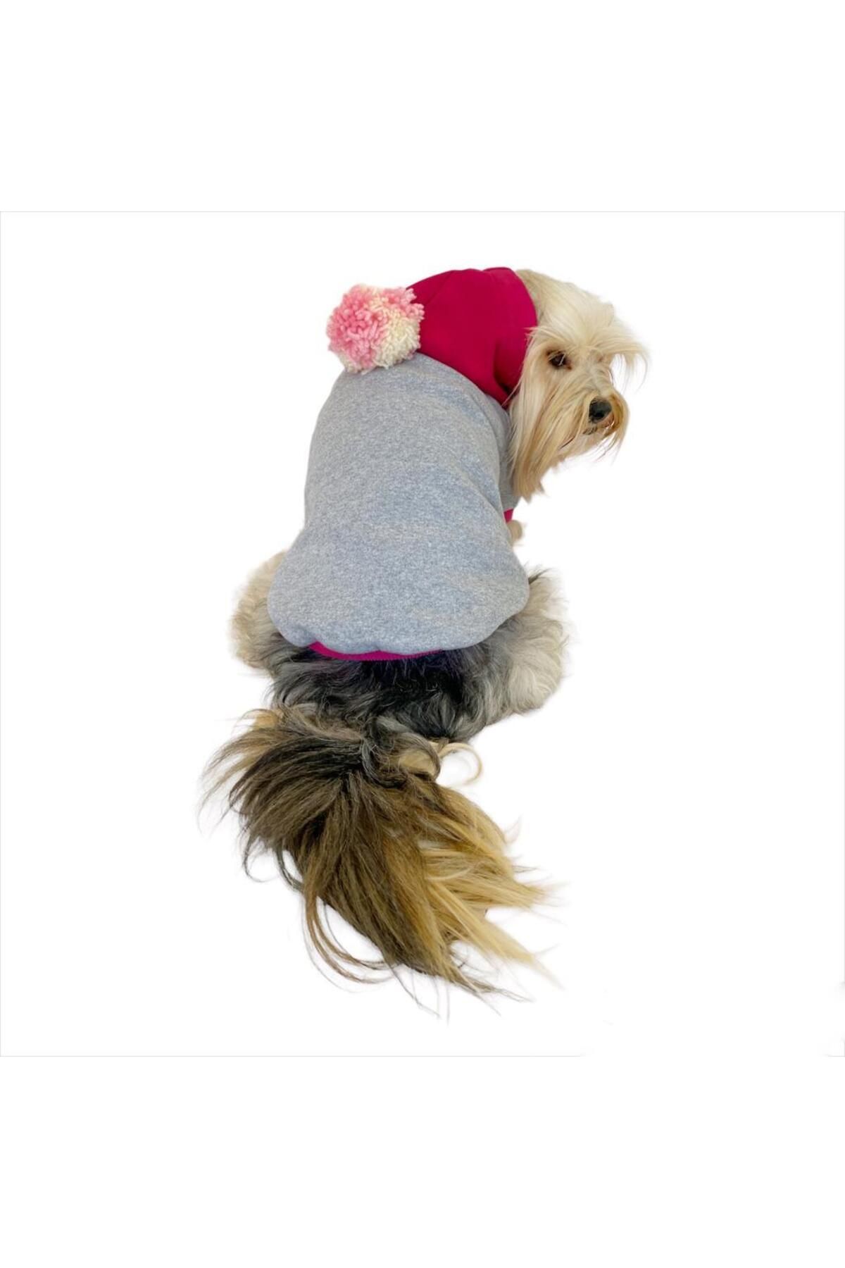 Pink Amigo Duo Kapşonlu Sweatshirt Köpek Kıyafeti Köpek Elbisesi