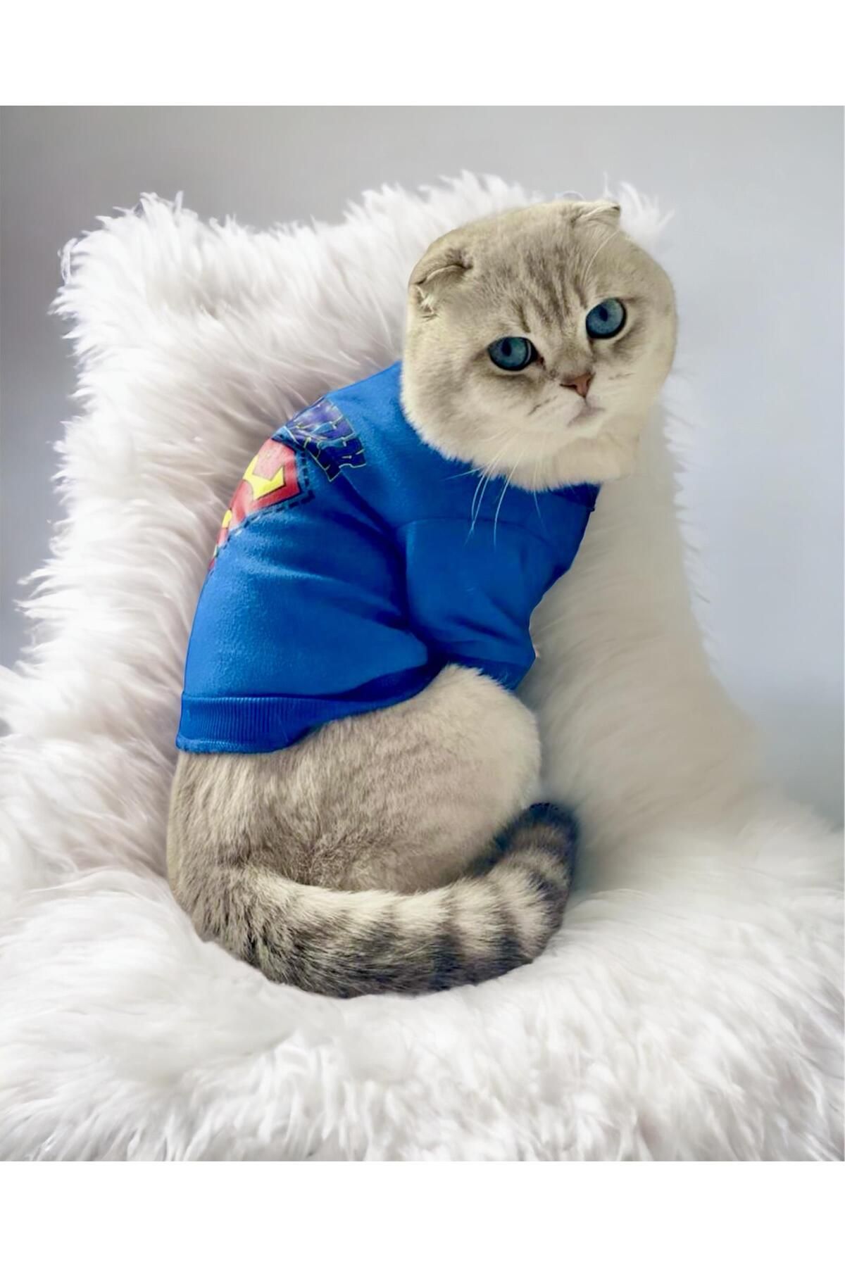 Mavi Superman Kedi Tişörtü Kedi Kıyafeti Kedi Elbisesi