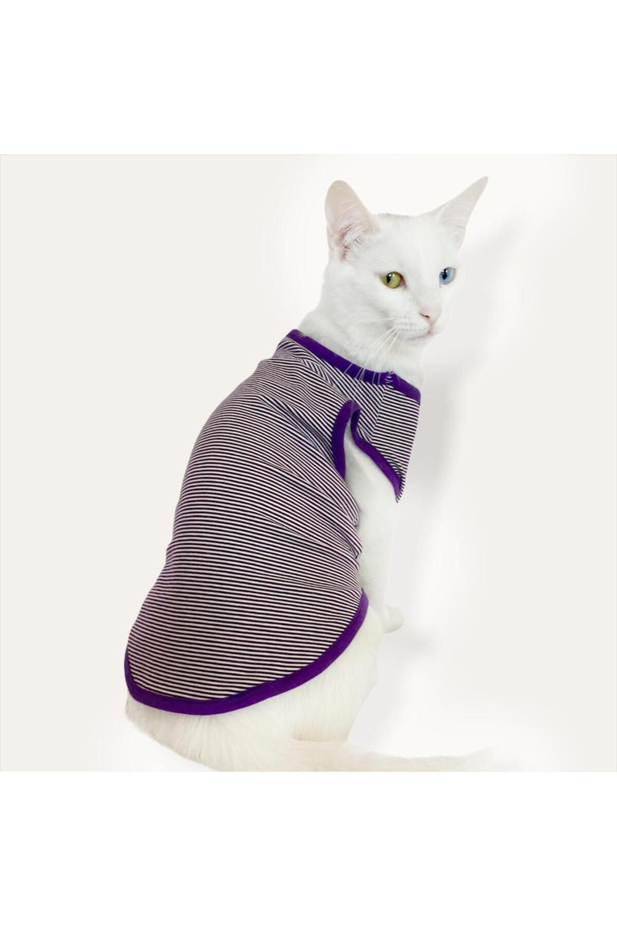 Kemique Purple Stripe AtletBy Kedi Kıyafeti K...