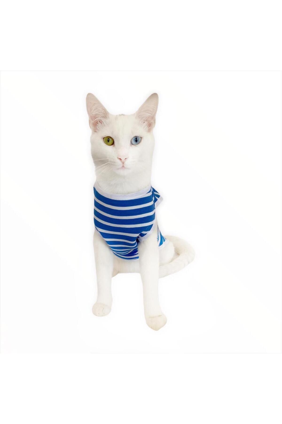 Blue White Stripe Atlet By Kedi Kıyafeti Kedi Elbise