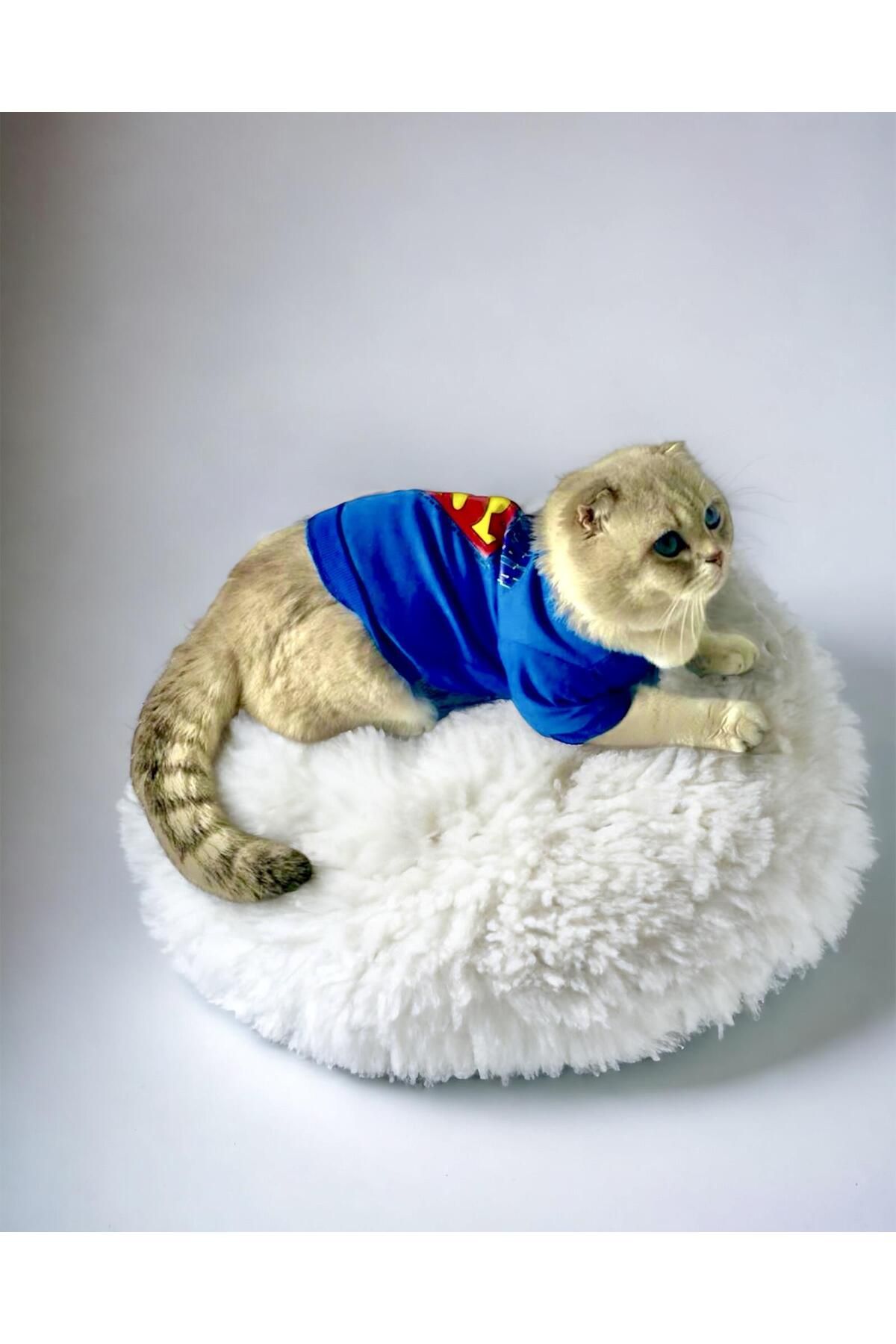 Mavi Superman Kedi Tişörtü Kedi Kıyafeti Kedi Elbisesi