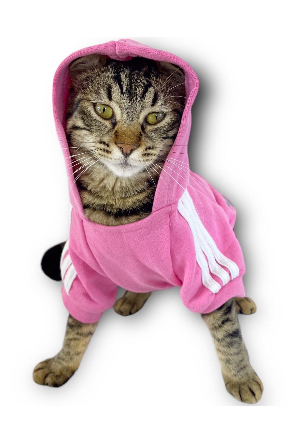 Pembe Adidog Kapşonlu Kedi Sweatshirt Kazak Duo