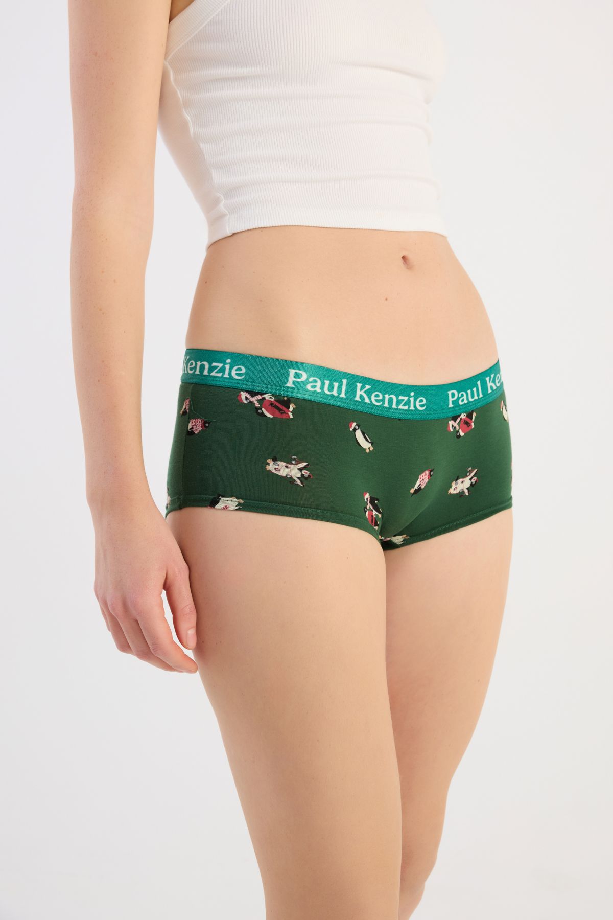 Christmas Collection - Kadın Boyshort Külot - Pengu in Wonderland