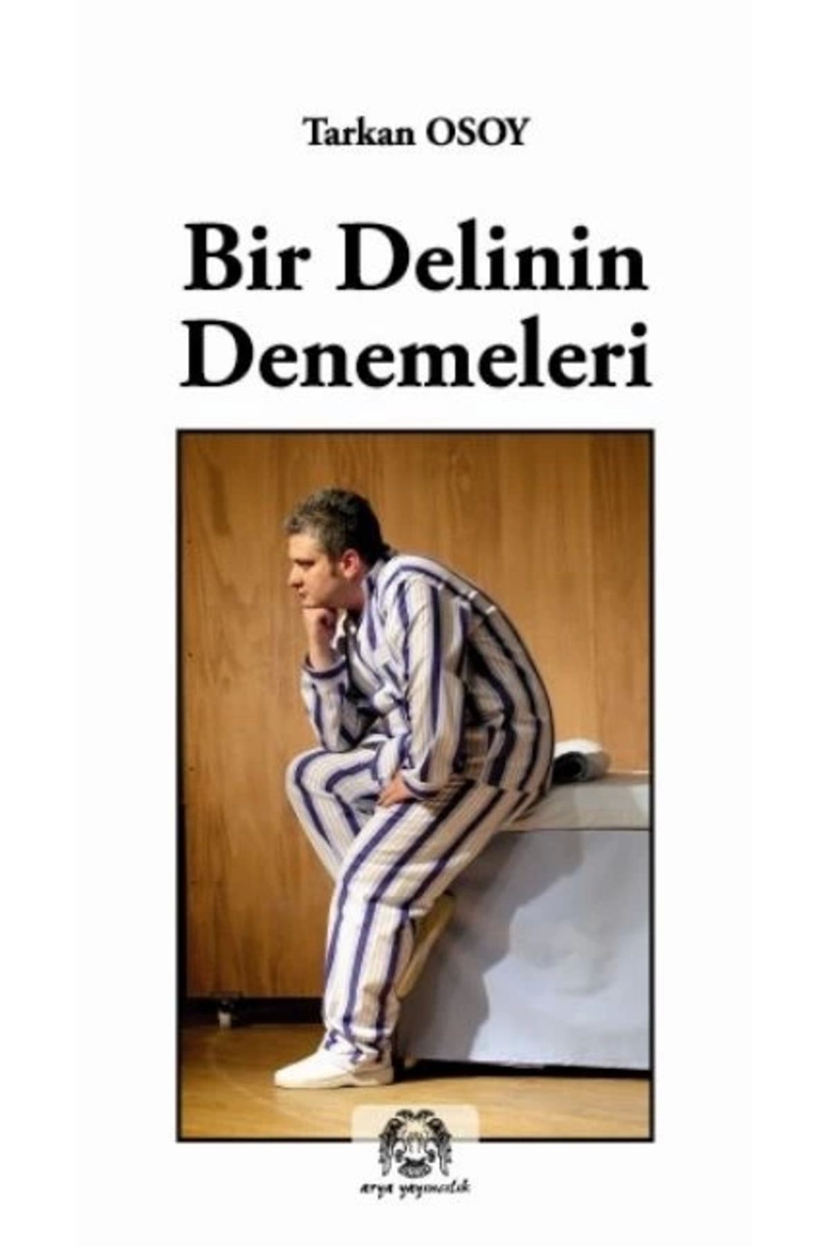 Arya YayıncılıkBir DelininDenemeleri