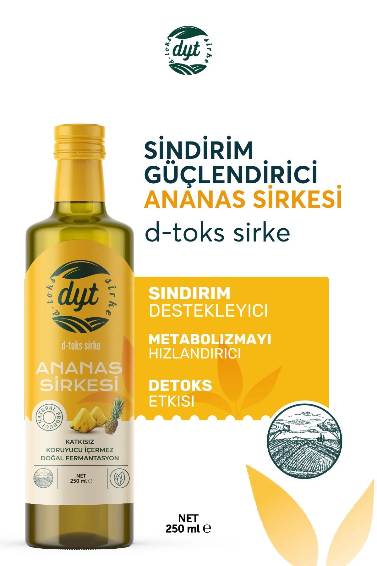 Detox Ananas Sirkesi Ödem atmaya yardımcı 250 ml