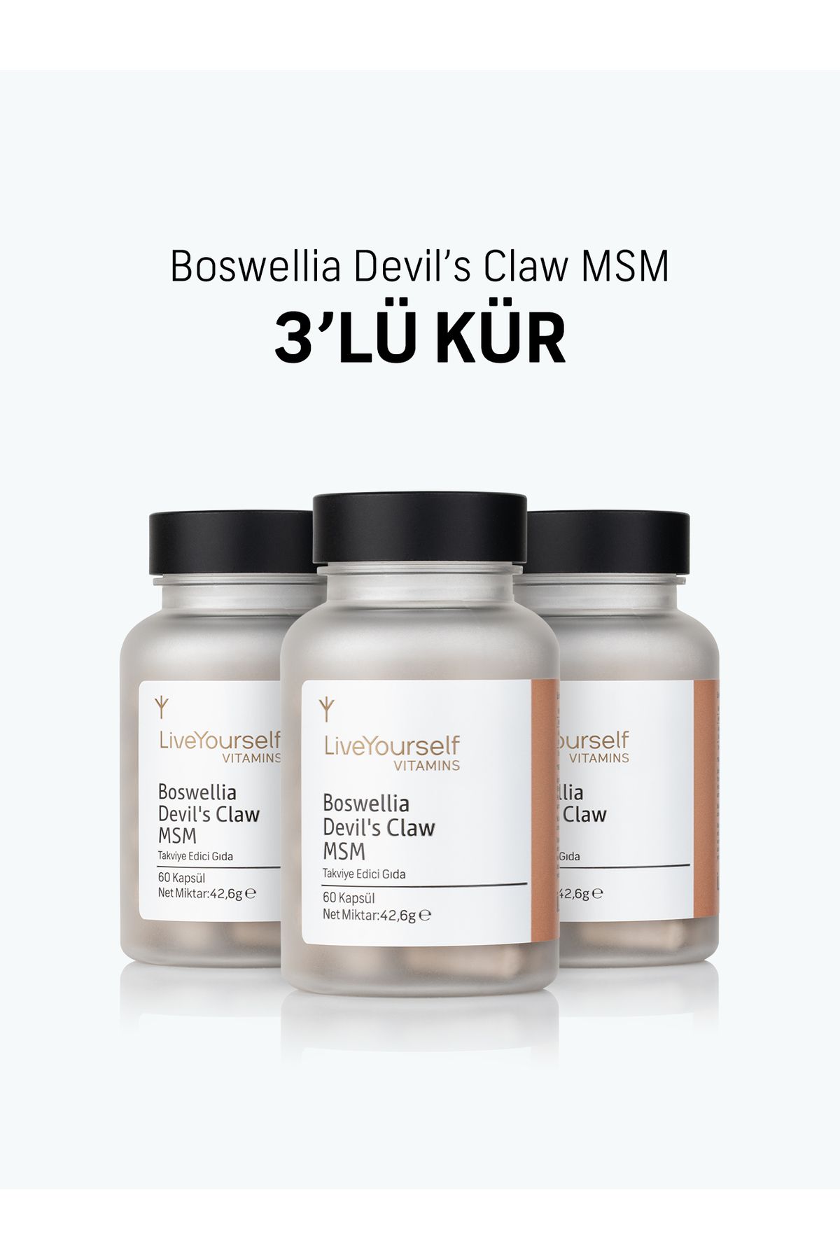 Live Yourself BoswelliaDevil's Claw Msm 3 lü...