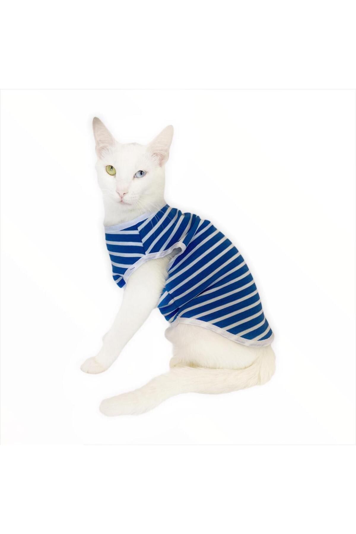 Blue White Stripe Atlet By Kedi Kıyafeti Kedi Elbise