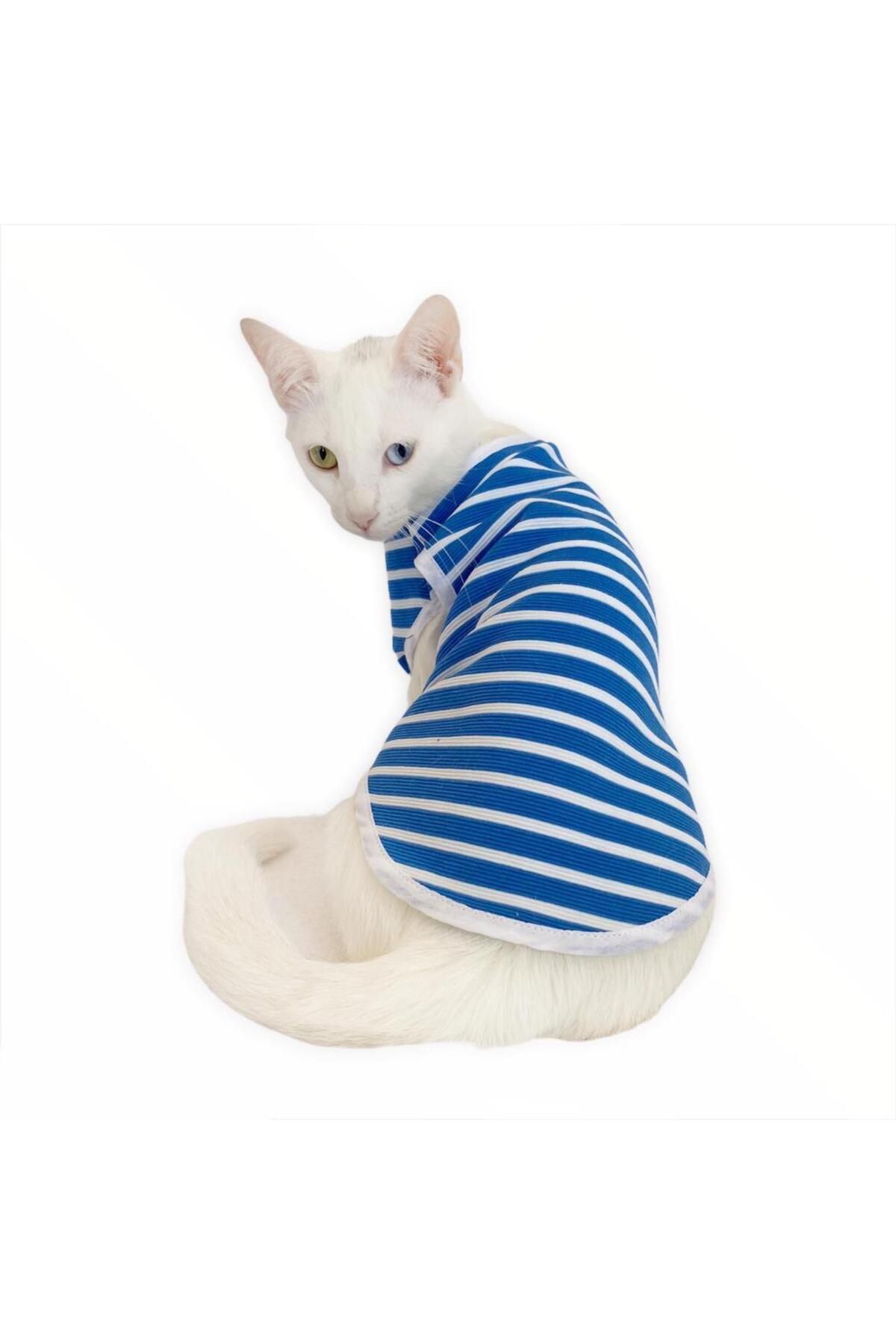 Kemique Blue White StripeAtlet By Kedi Kıyafe...