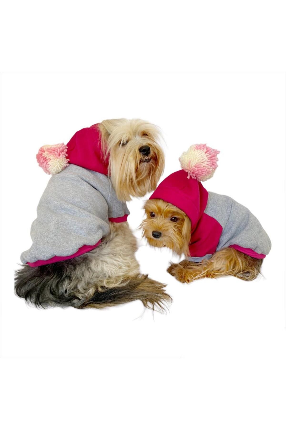 Pink Amigo Duo Kapşonlu Sweatshirt Köpek Kıyafeti Köpek Elbisesi