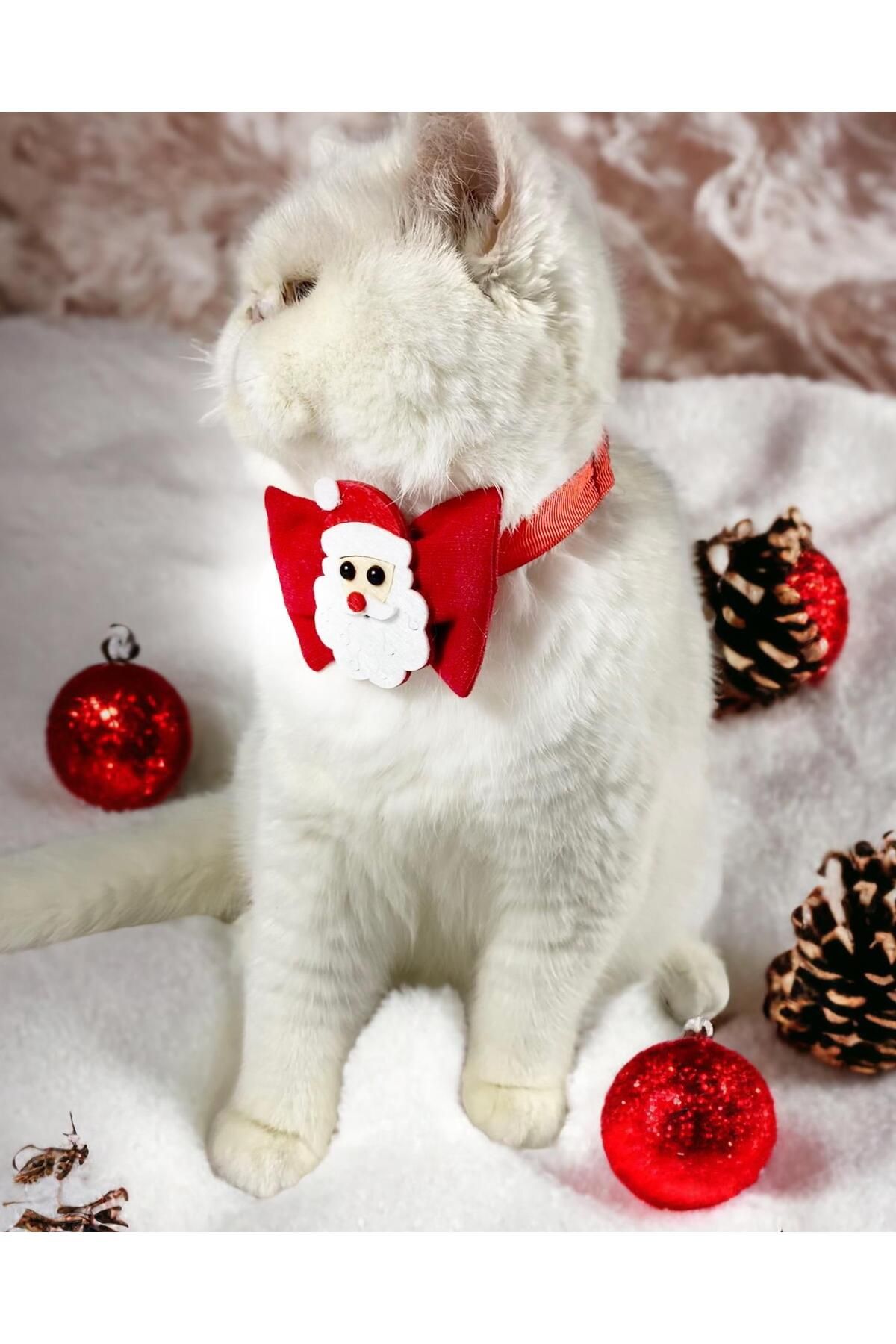 Santa Neo Kedi Papyonu Kurdela Tasma Yılbaşı Noel