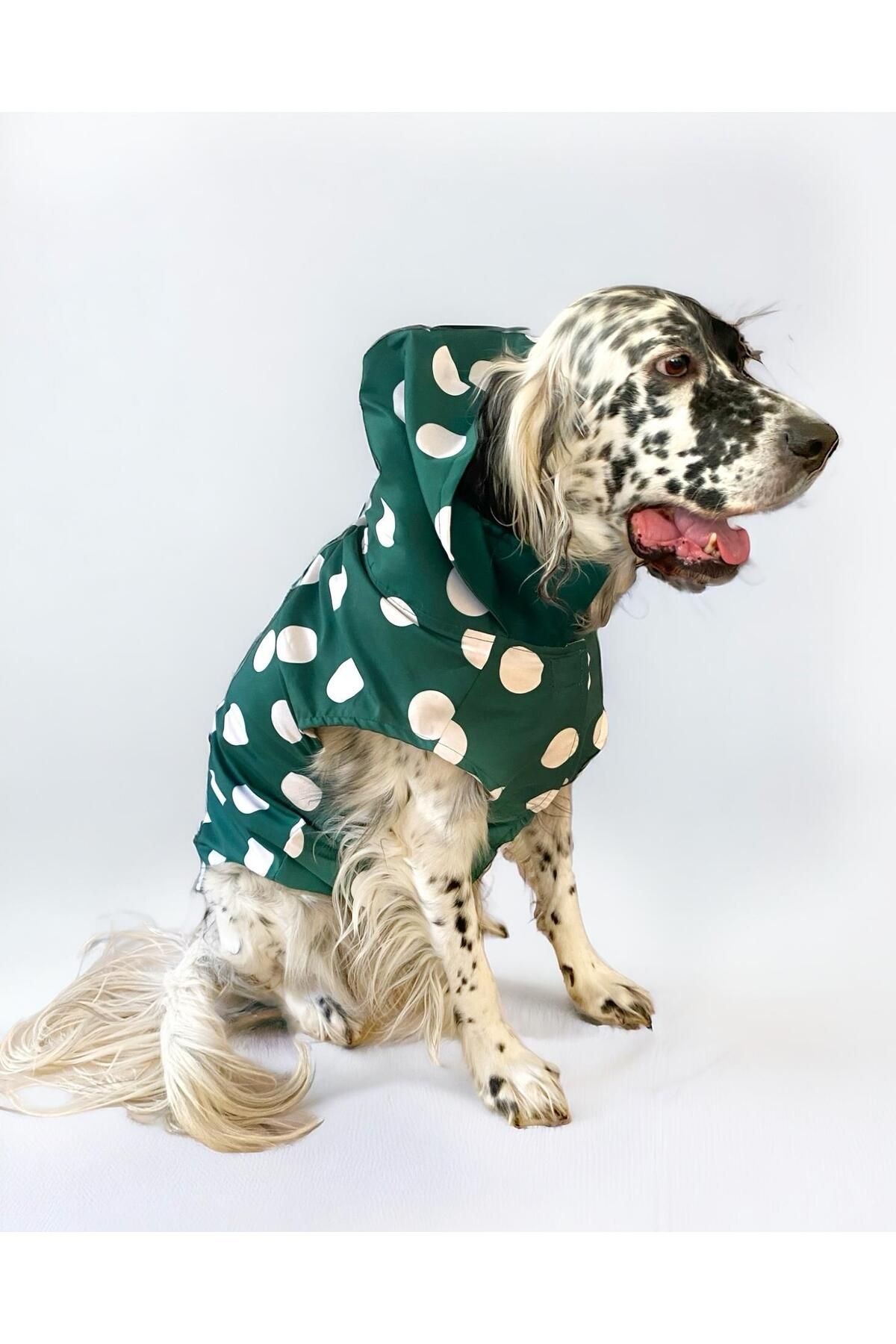 Mega Dots Green Köpek Kapşonlu Yağmurluk Orta ve Büyük Irklar İçin