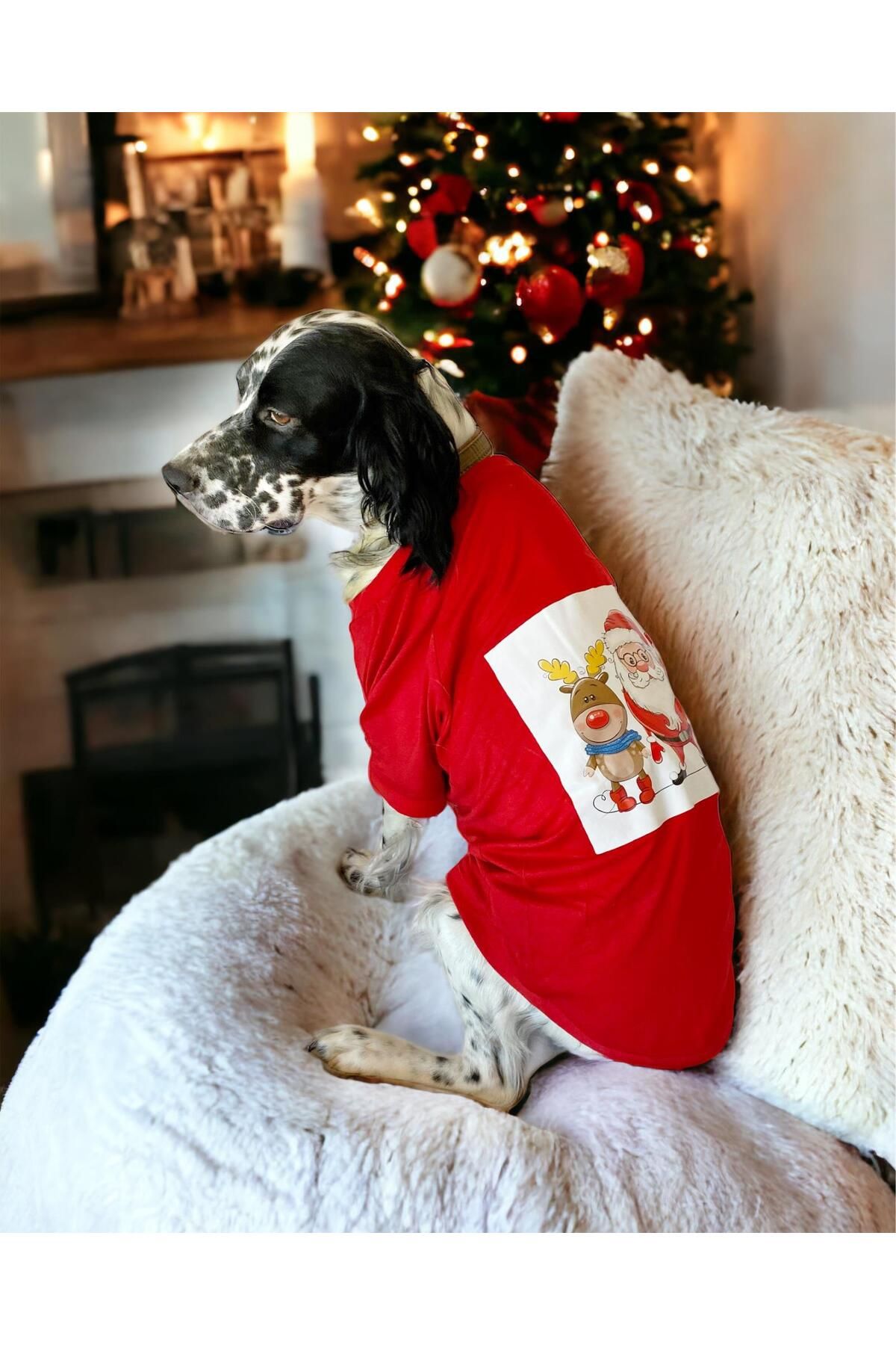 Santa and Friend Rudolph Orta ve Büyük Irk Köpek Tişörtü Yılbaşı Noel