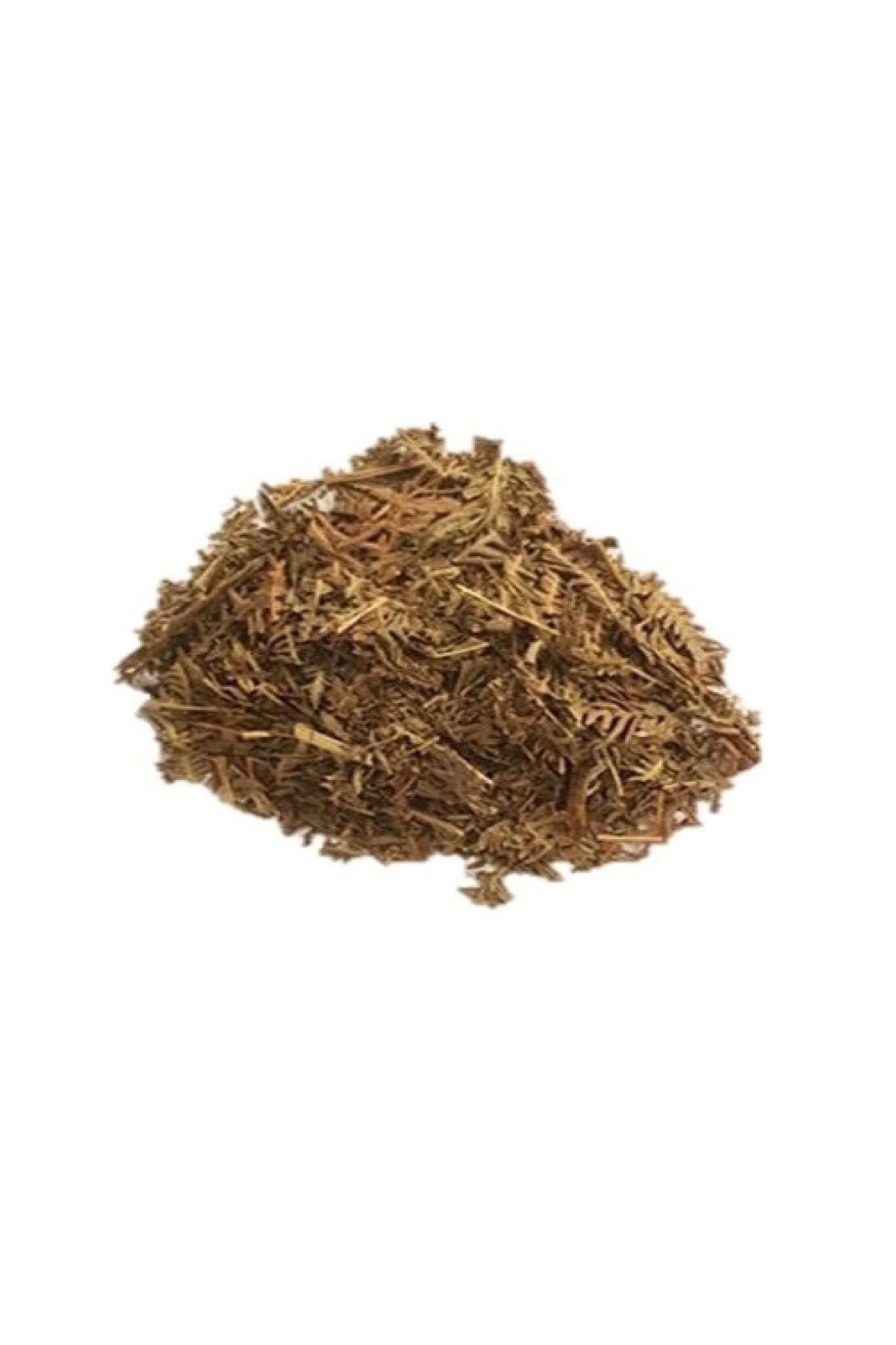 Solucan Otu Tanacetum vulgare 100g