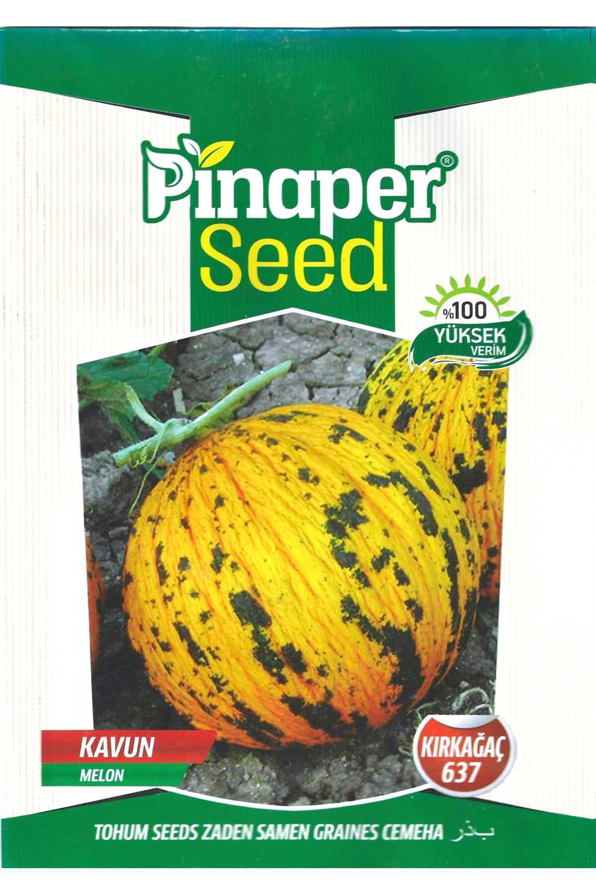 Pinaper Seed Kırkağaç 637Kavun Tohumu 10 Gr P...