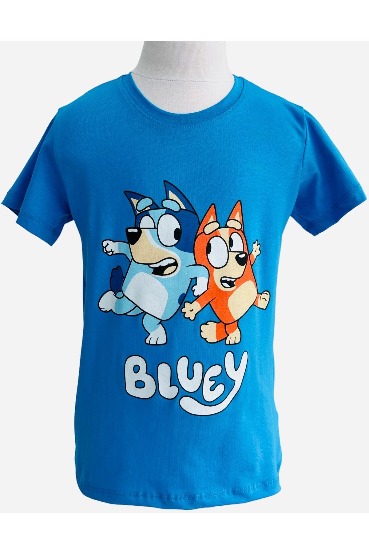 Atabay Kids Bluey baskılıtshırt