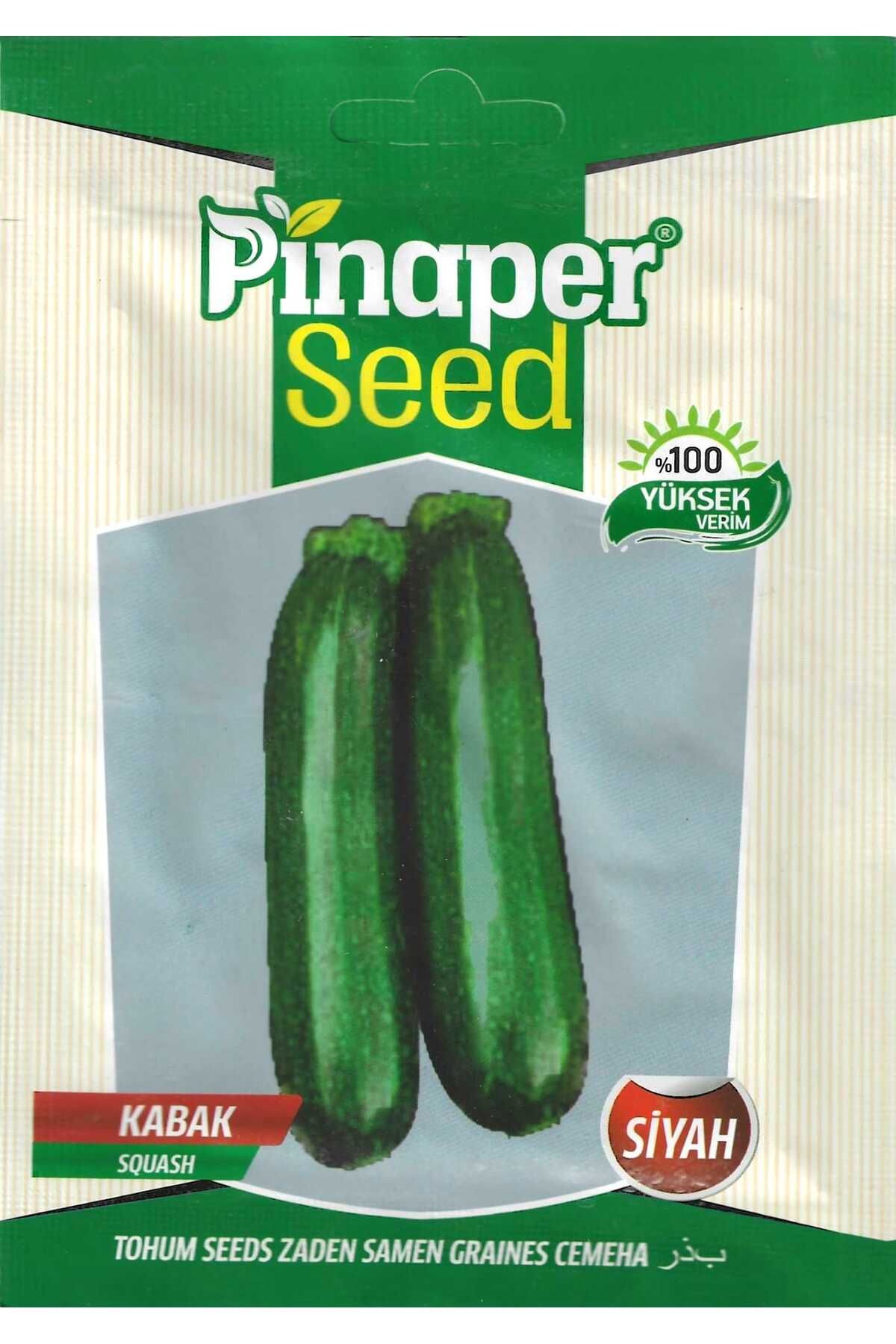 Pinaper Seed Siyah KabakTohumu 10 Gr Pınaper...