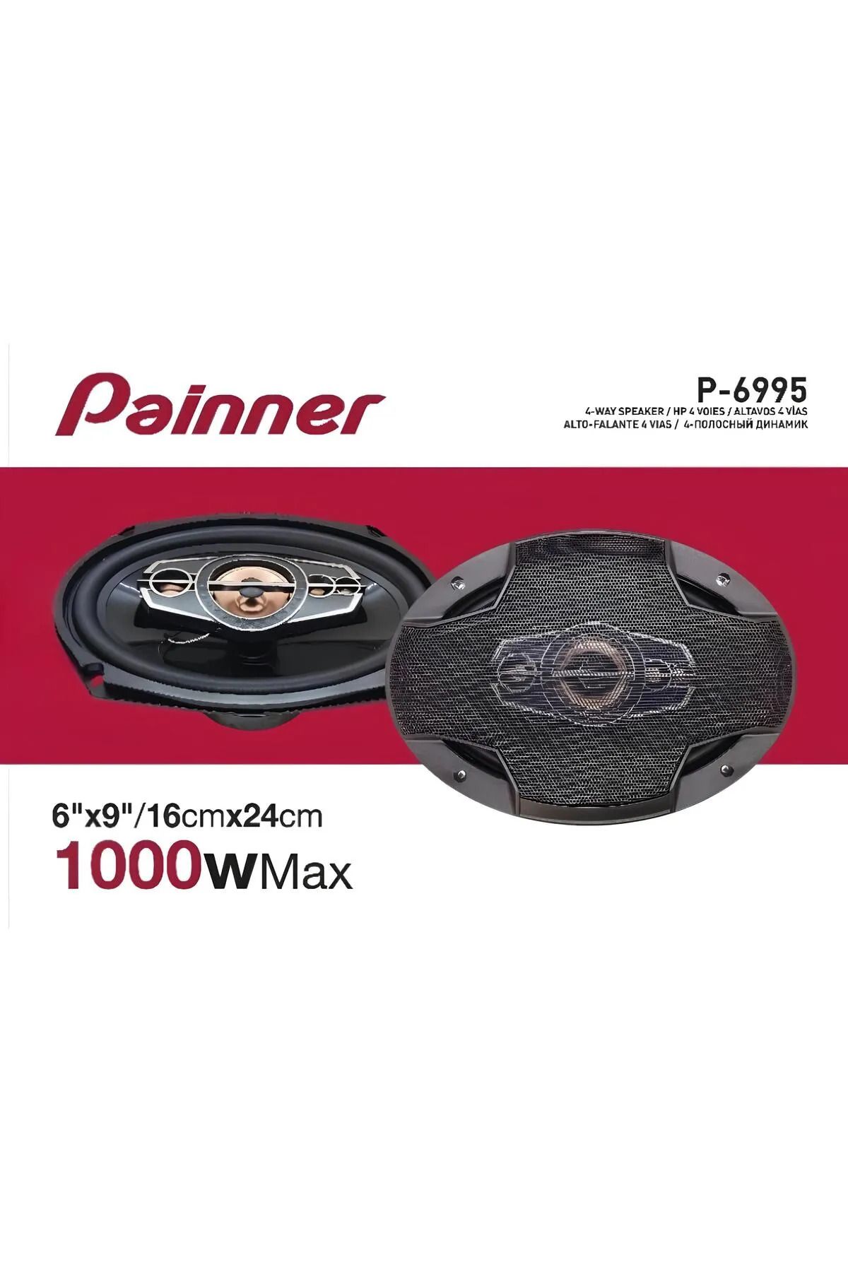 Painner P-6995 1000 Watt OtoHoparlör Oval 6x9...