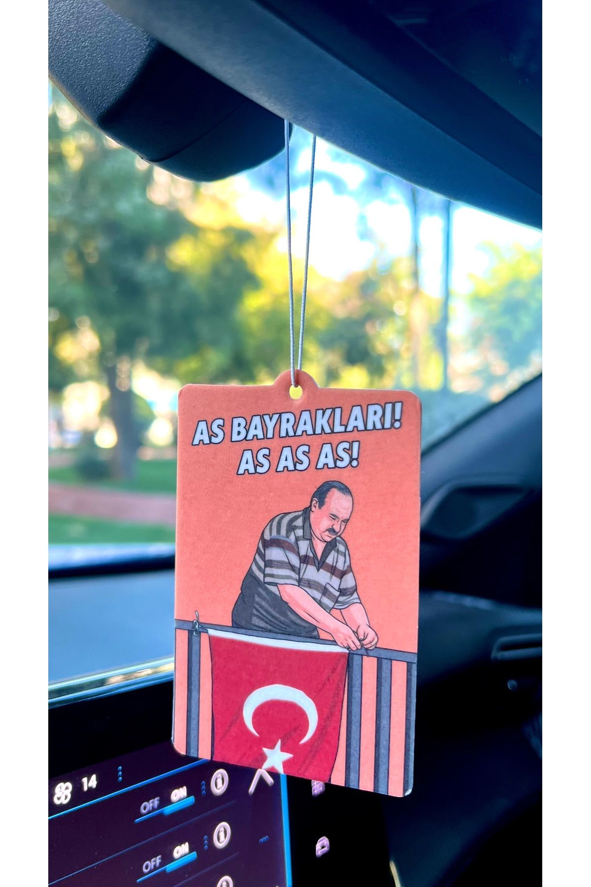 Duftpalm AS BAYRAKLARI ASTASARIMLI EĞLENCELİ...