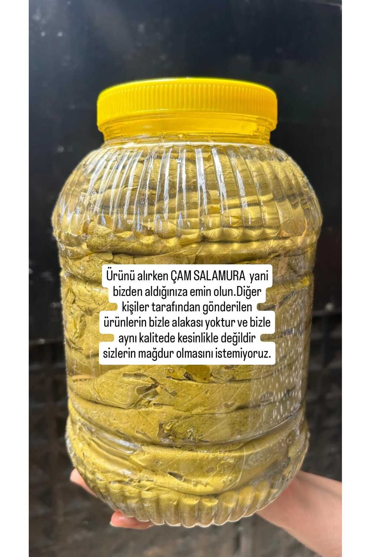 NUR DOĞAL ÜRÜNLER Tokat ErbaaSalamura Asma Ya...