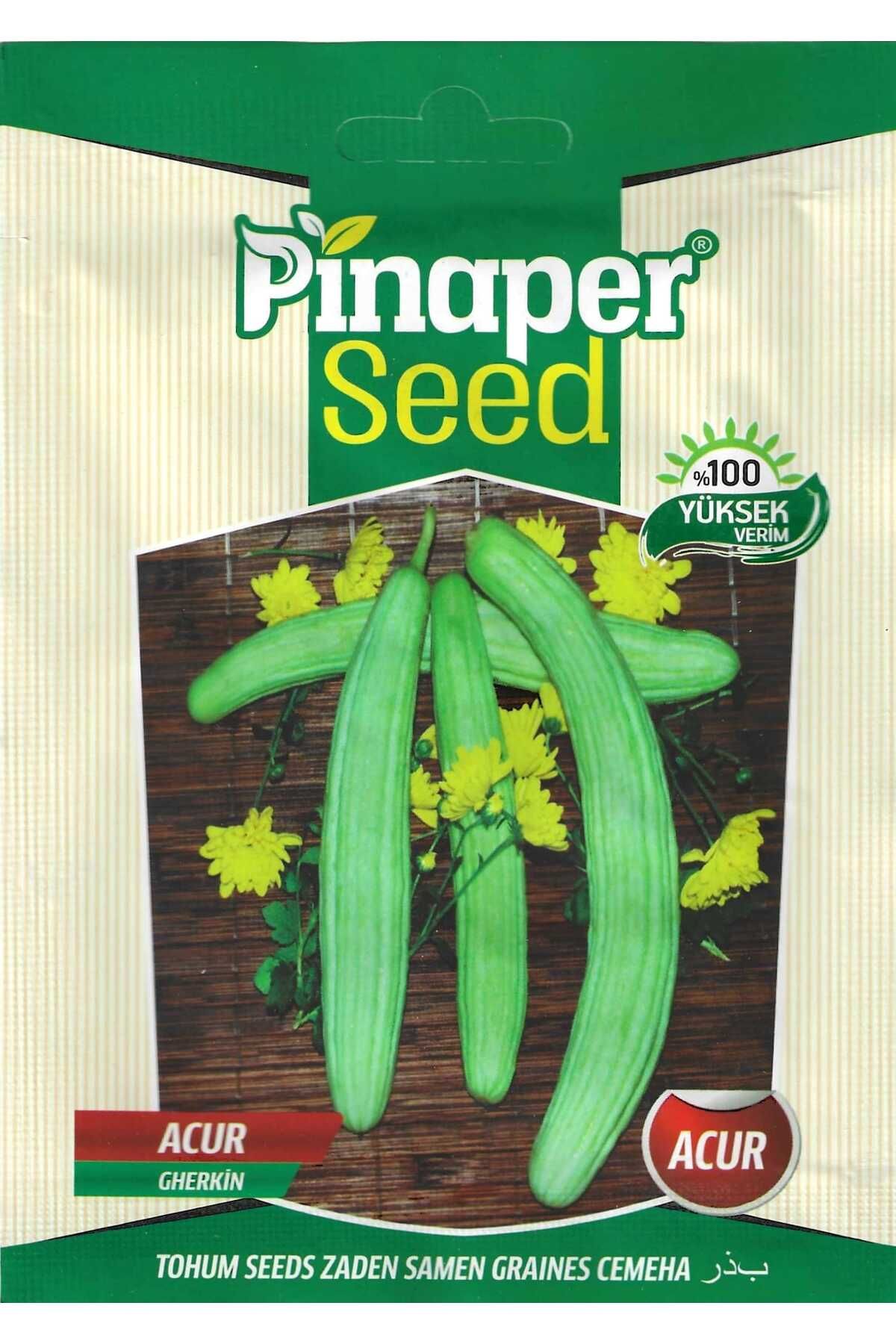 Pinaper Seed Acur Tohumu 10Gr Pınaper Tohumcu...