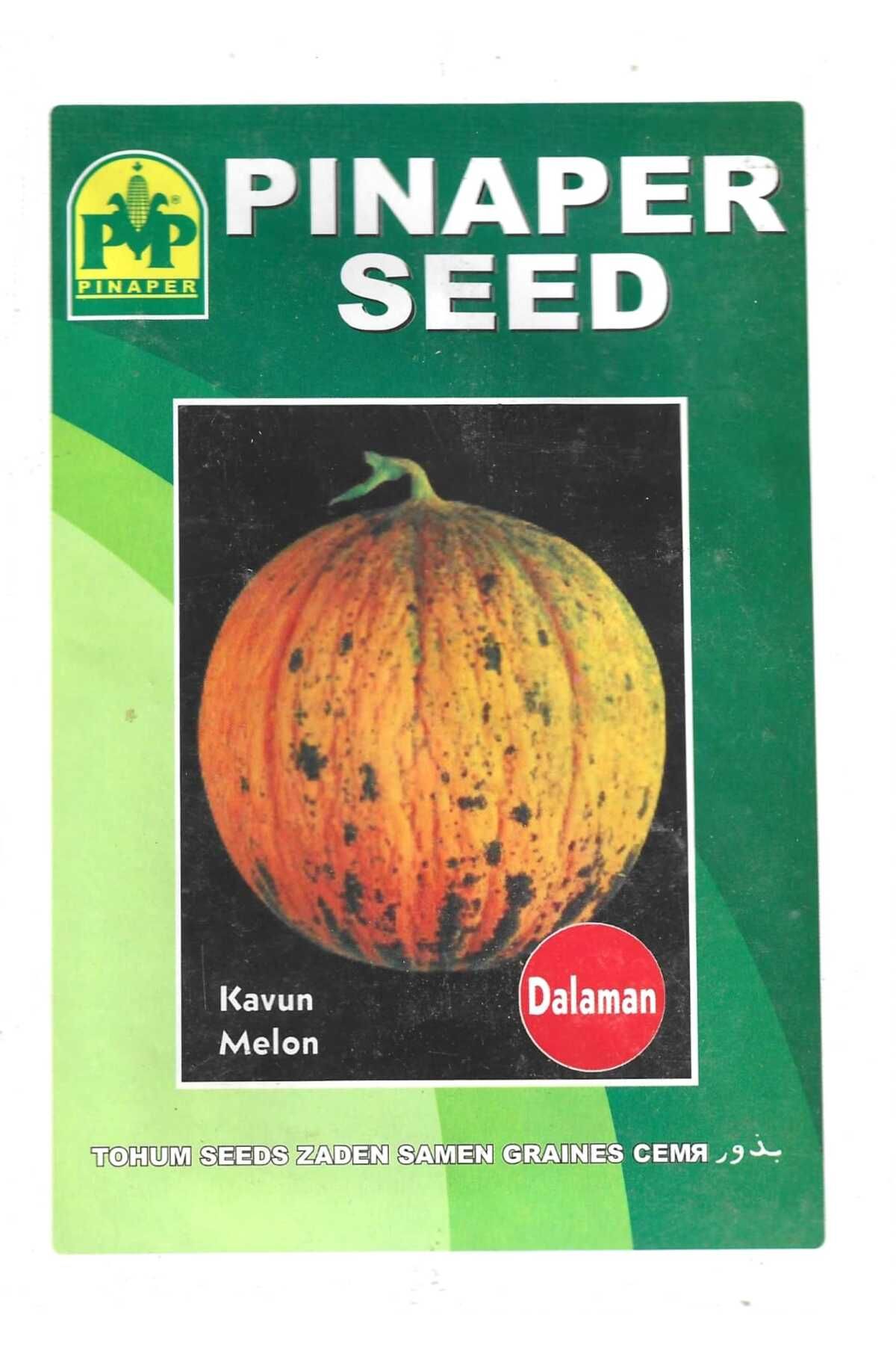 Pinaper Seed Dalaman KavunTohumu 10 Gr Pınape...