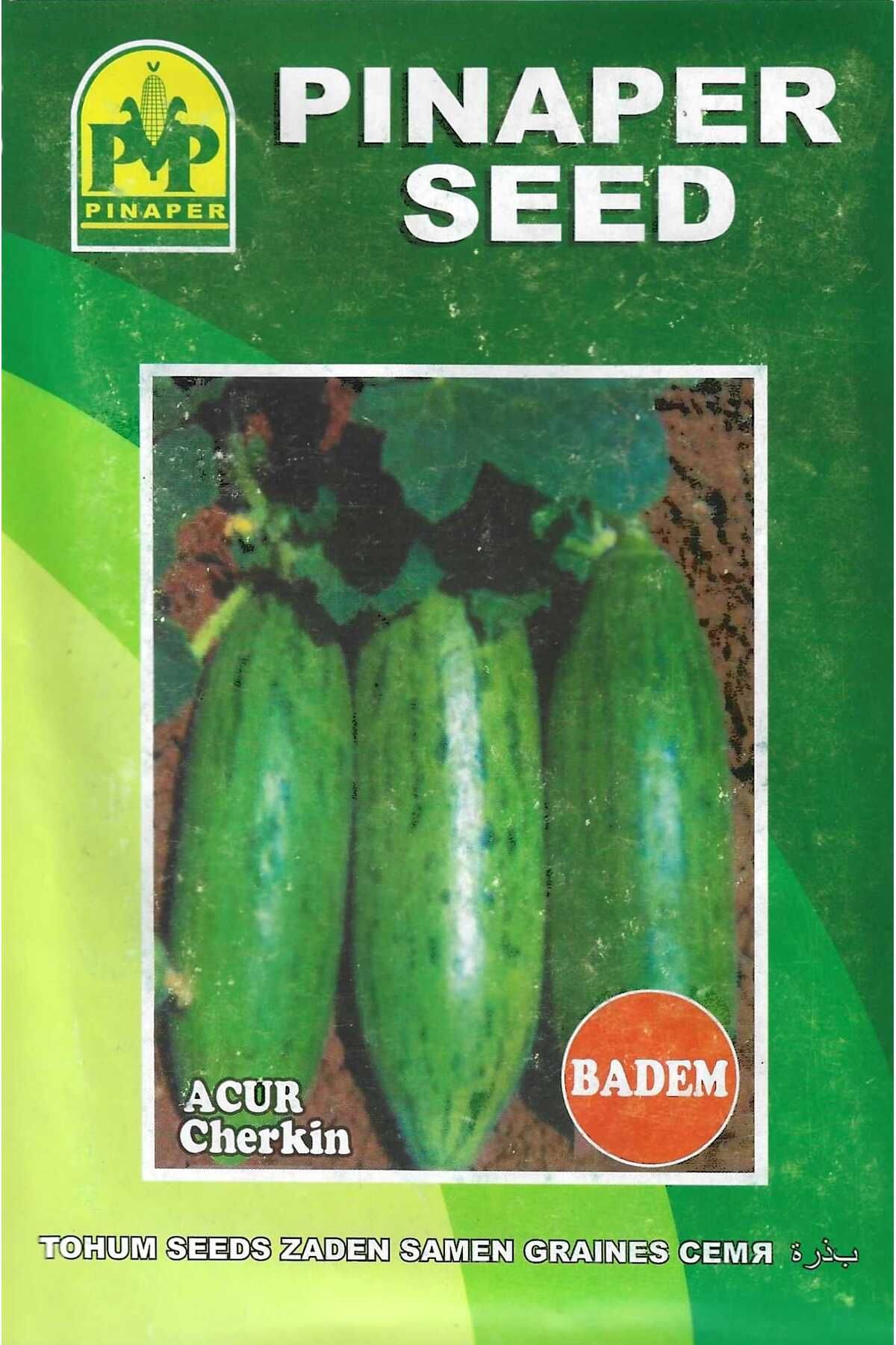 Pinaper Seed Badem AcurTohumu 10 Gr Pınaper T...