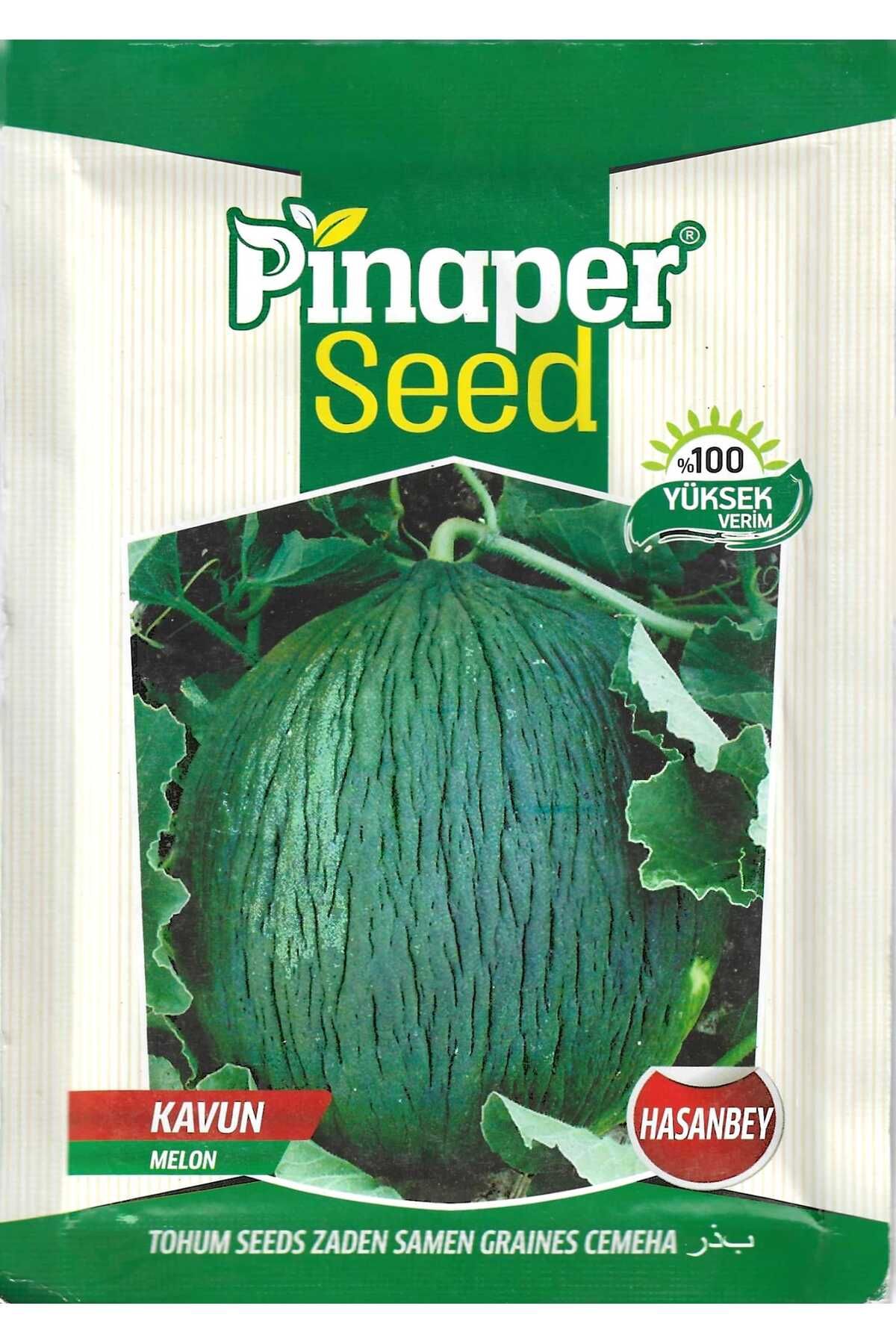 Pinaper Seed Hasanbey KavunTohumu 10 Gr Pınap...