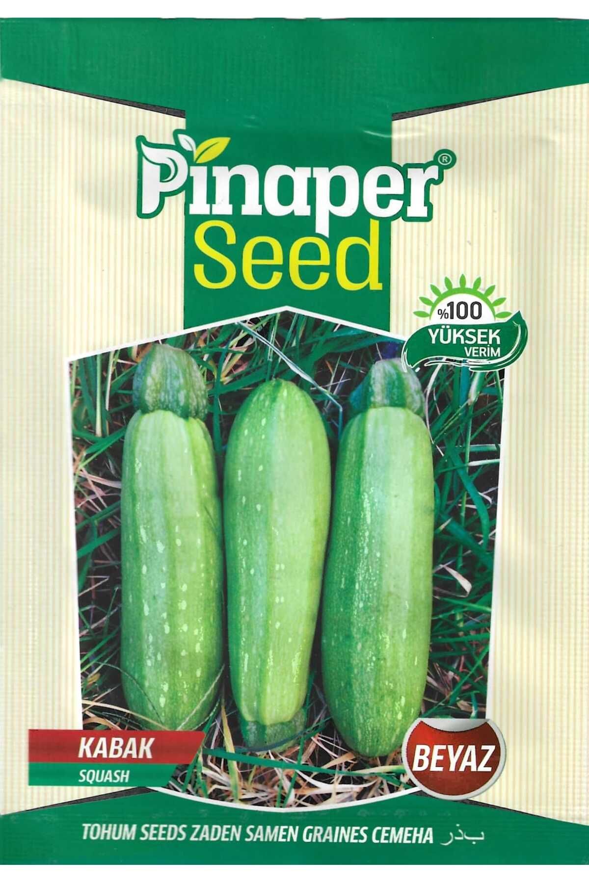 Pinaper Seed Beyaz KabakTohumu 10 Gr Pınaper...