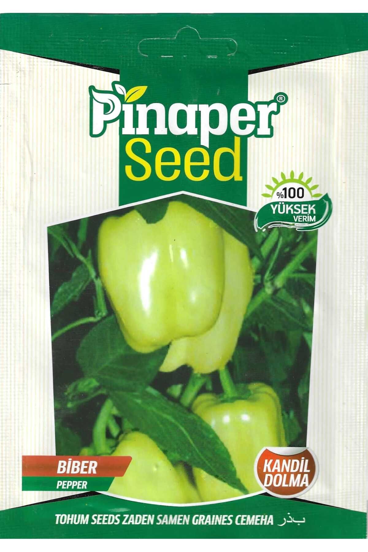 Pinaper Seed Kandil DolmaBiber Tohumu 5 Gr Pı...