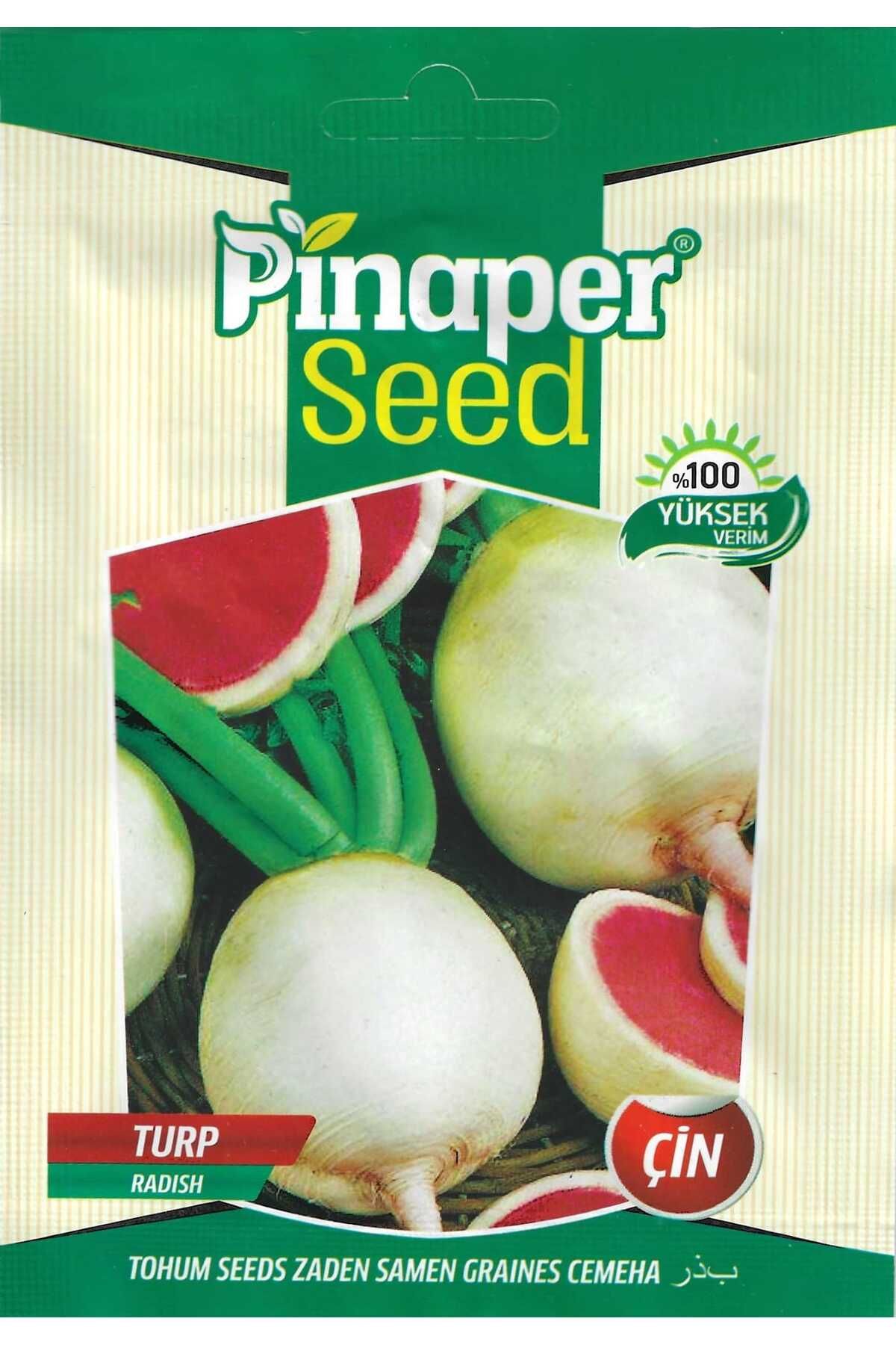 Pinaper Seed Çin Turp Tohumu5 Gr Pınaper Tohu...