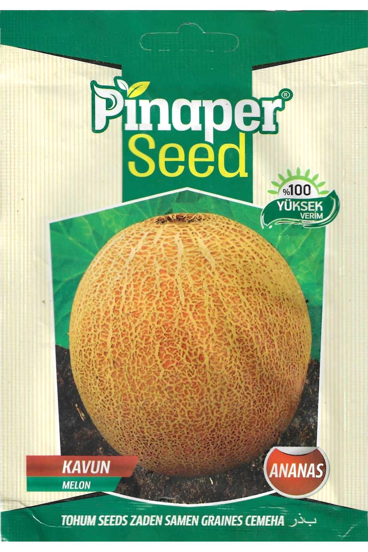 Pinaper Seed Ananas KavunTohumu 10 Gr Pınaper...