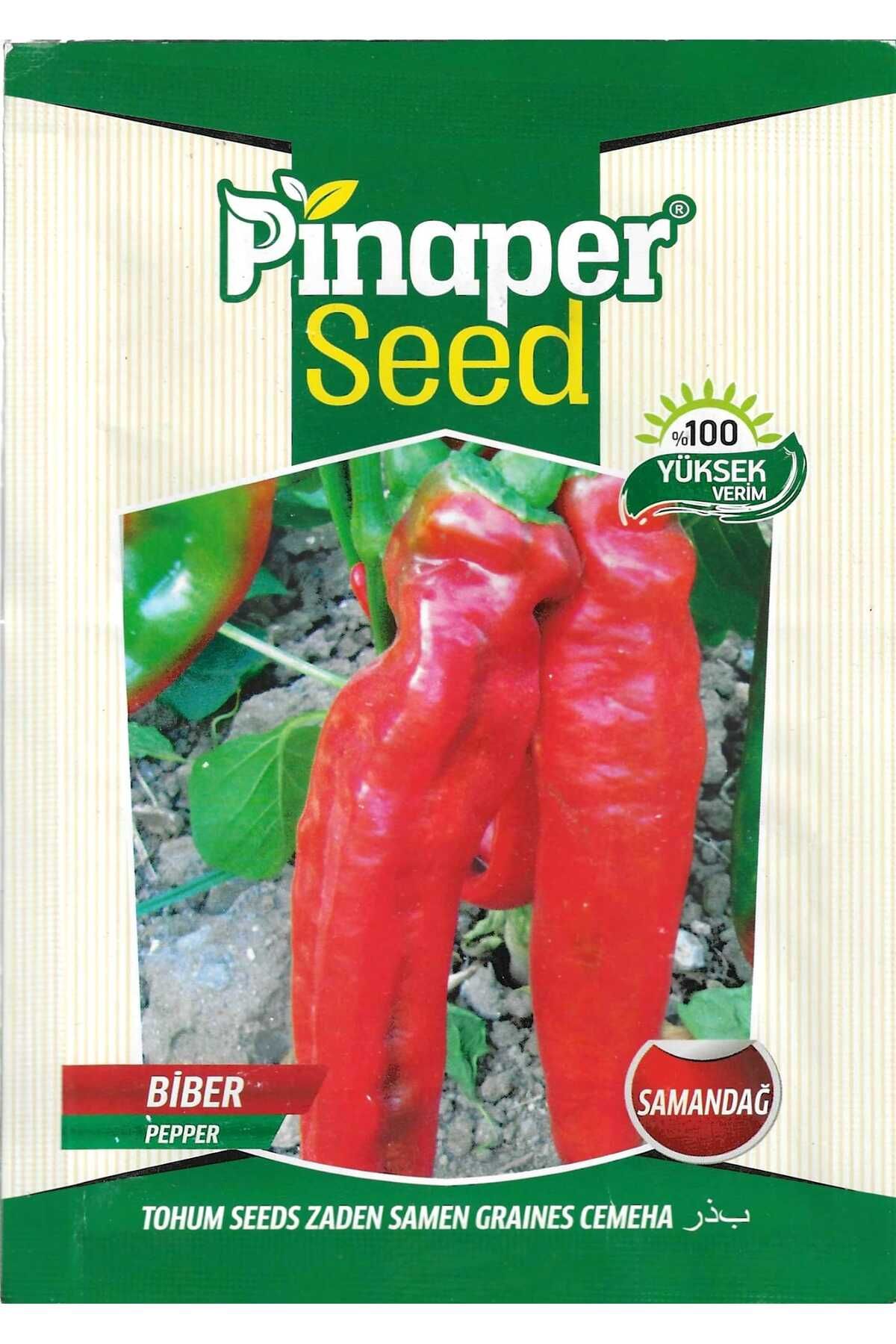 Pinaper Seed Samandağ BiberTohumu 5 Gr Pınape...