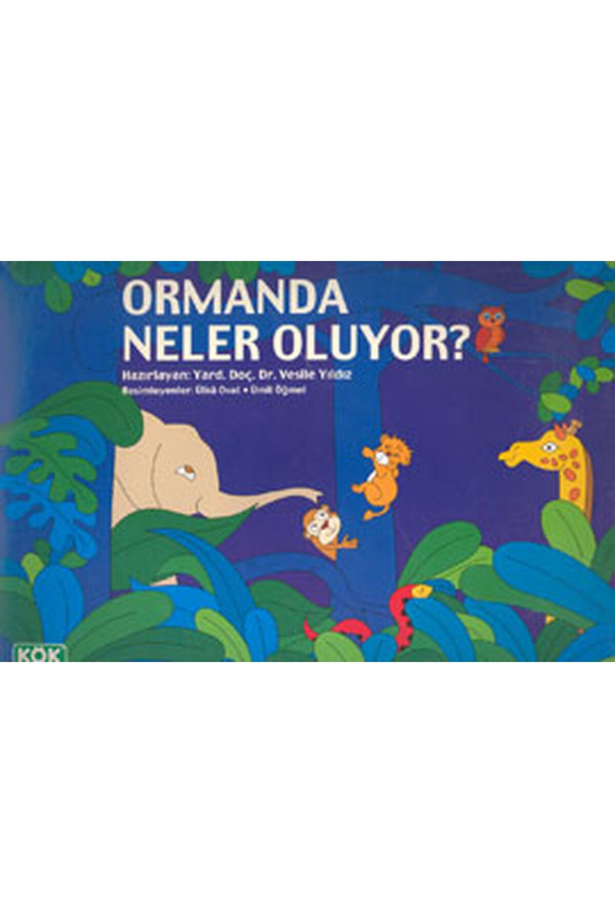 Kök Yayıncılık Ormanda NelerOluyor?