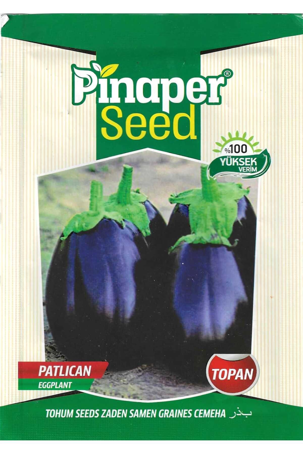 Pinaper Seed Topan PatlıcanTohumu 5 Gr Pınape...