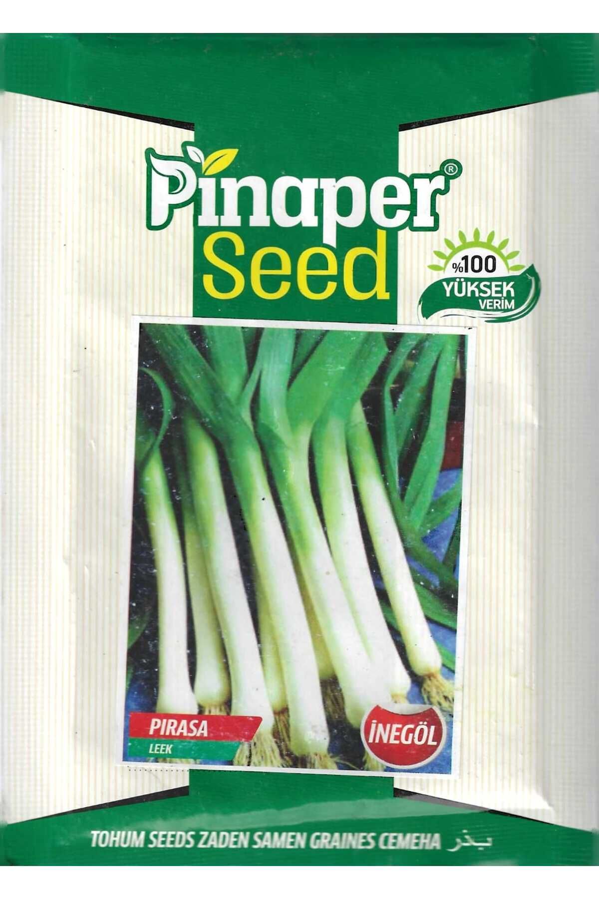 Pinaper Seed İnegöl PırasaTohumu 10 Gr Pınape...