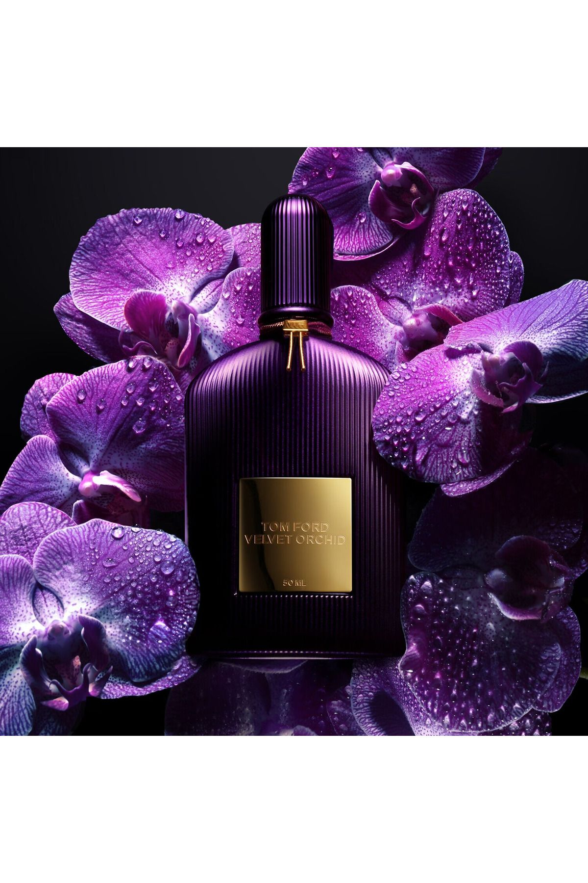 Velvet Orchid - Eau de Parfum - Oryantal Çiçeksi - 50ml - DHARMA ELA KOZMETİK