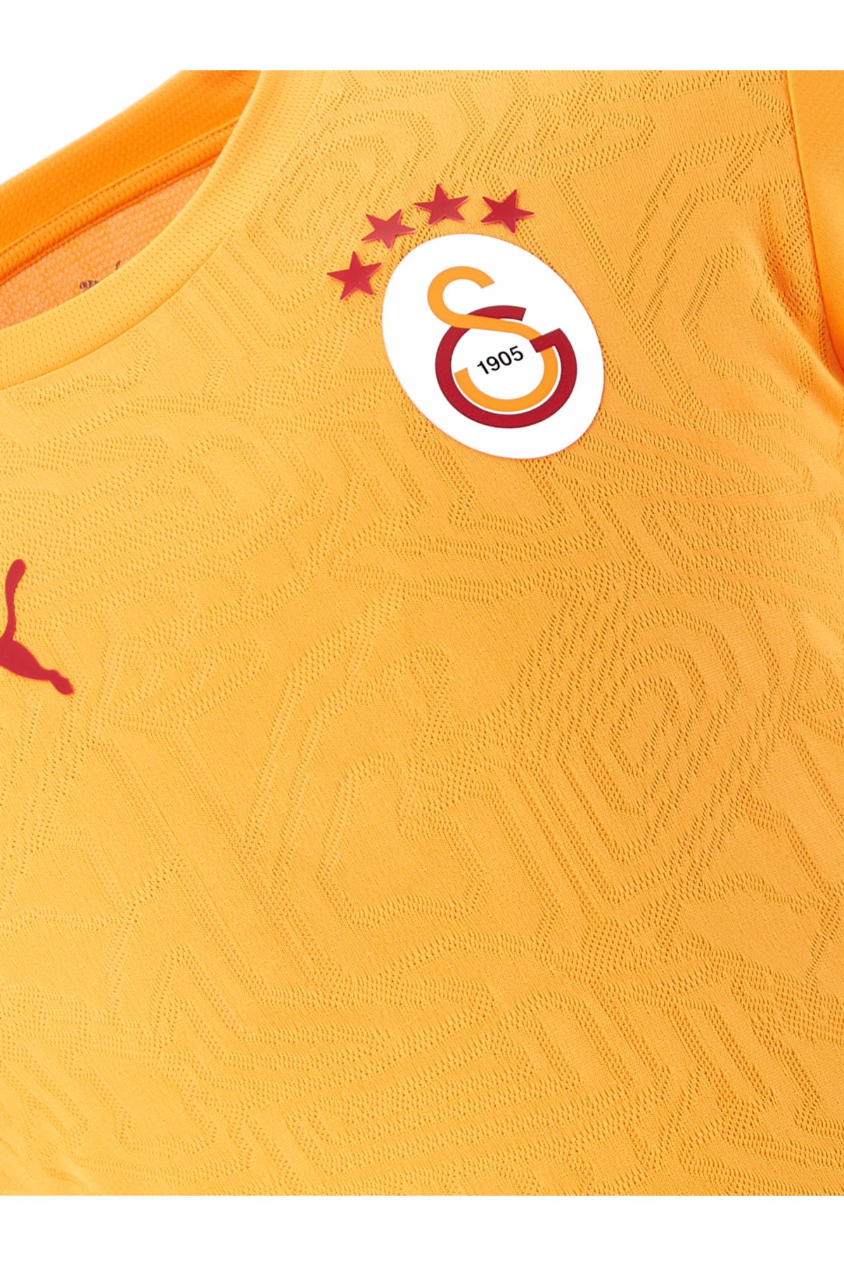 Galatasaray Puma A Takım Antrenman T-Shirt 77969511