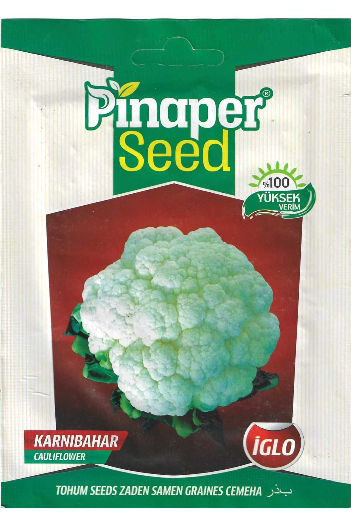 Pinaper Seed KarnıbaharTohumu İglo 5 Gr Pınap...