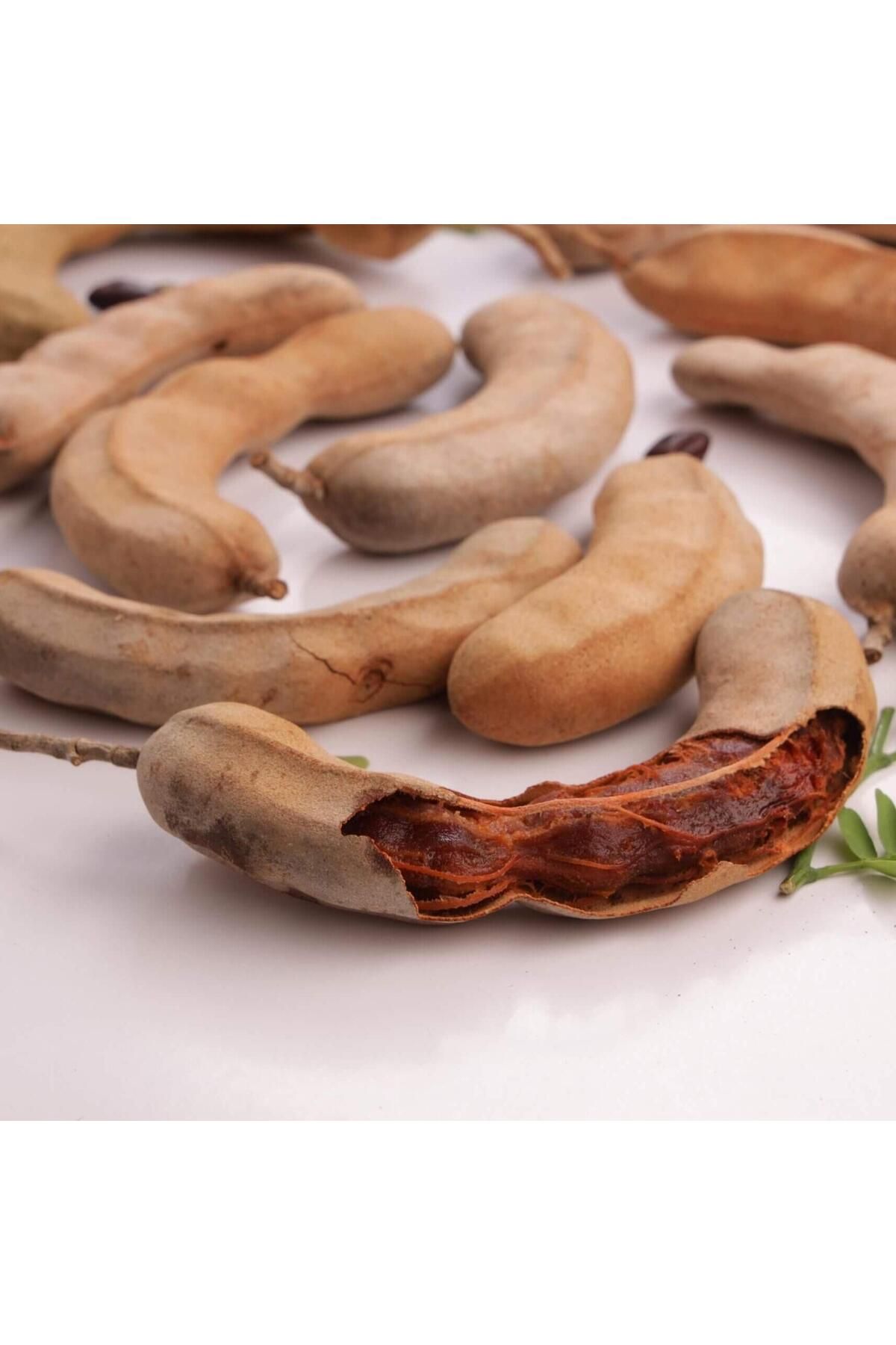 Berke Fidancılık TüplüTamarind Demirhindi Fid...