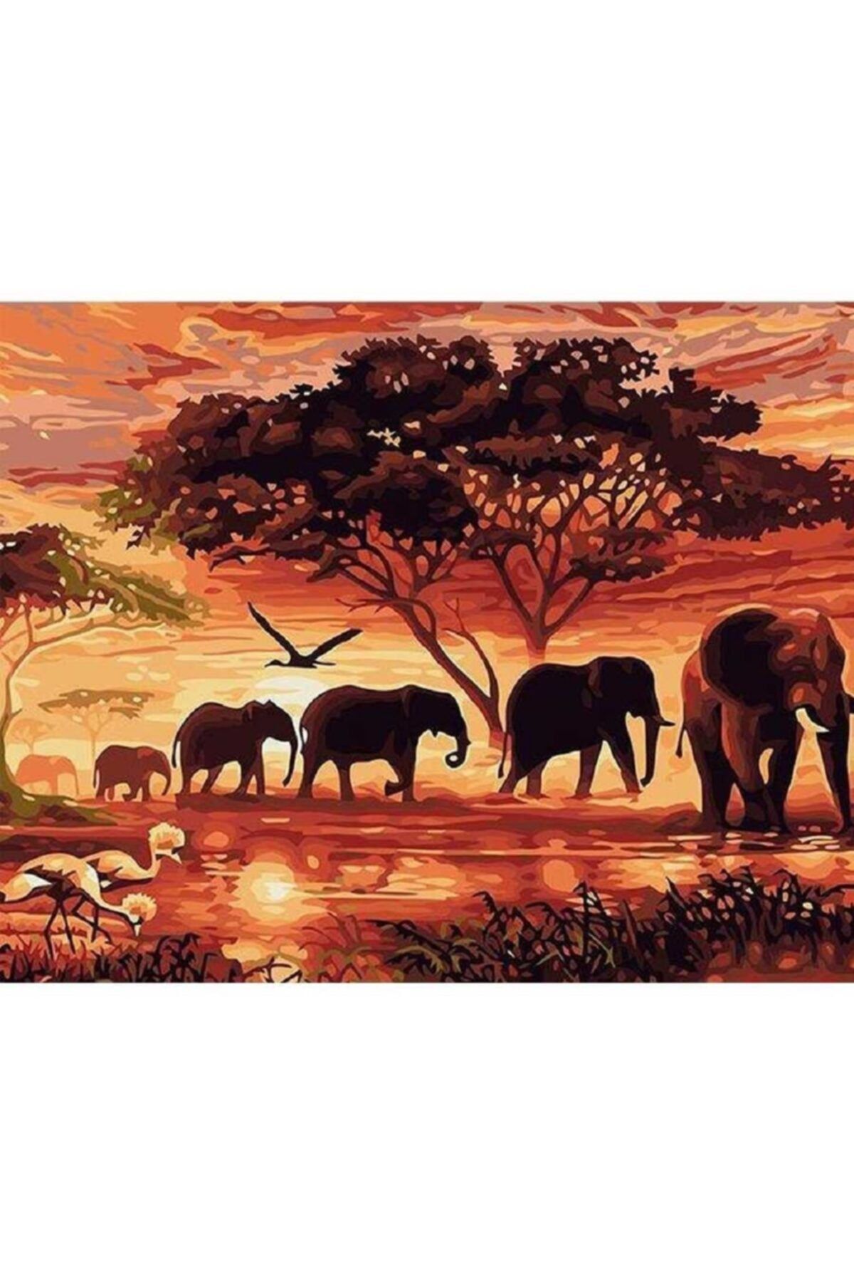 LİLYHOBBYLAND Sayılarla Boyama 60*75 Cm (çerçeveli ) Tuval: Savan Ağacı Ve Filler Afrika