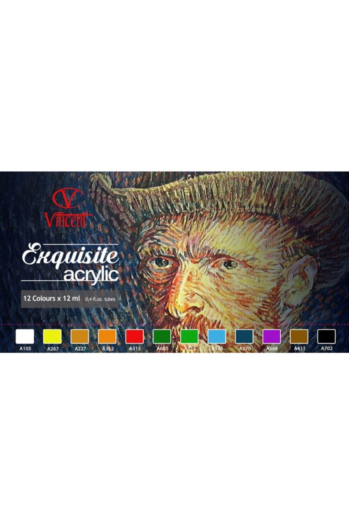 Vincent Vıncent Akrilik Boya Seti 12ml.x12'li