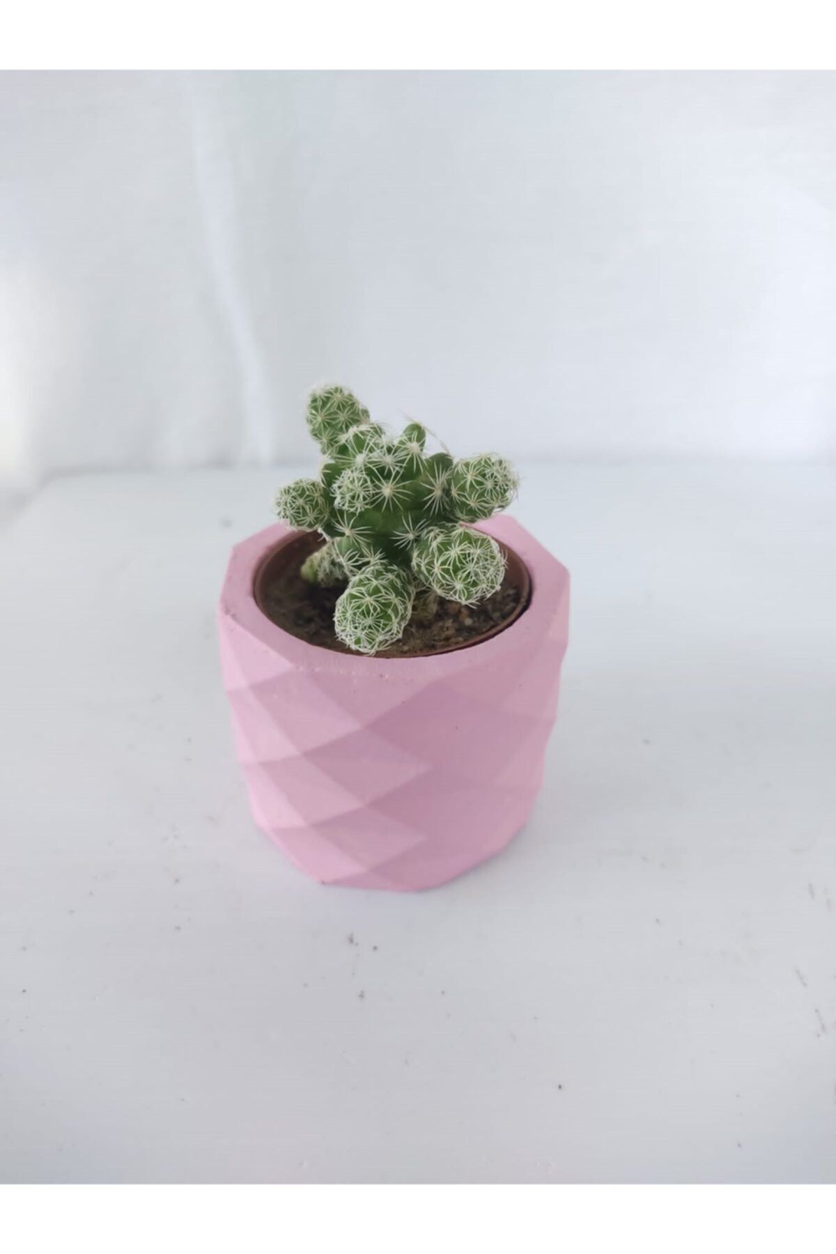 BiDunyaBazaar Toz Pembe Dekoratif Masa Saksısı