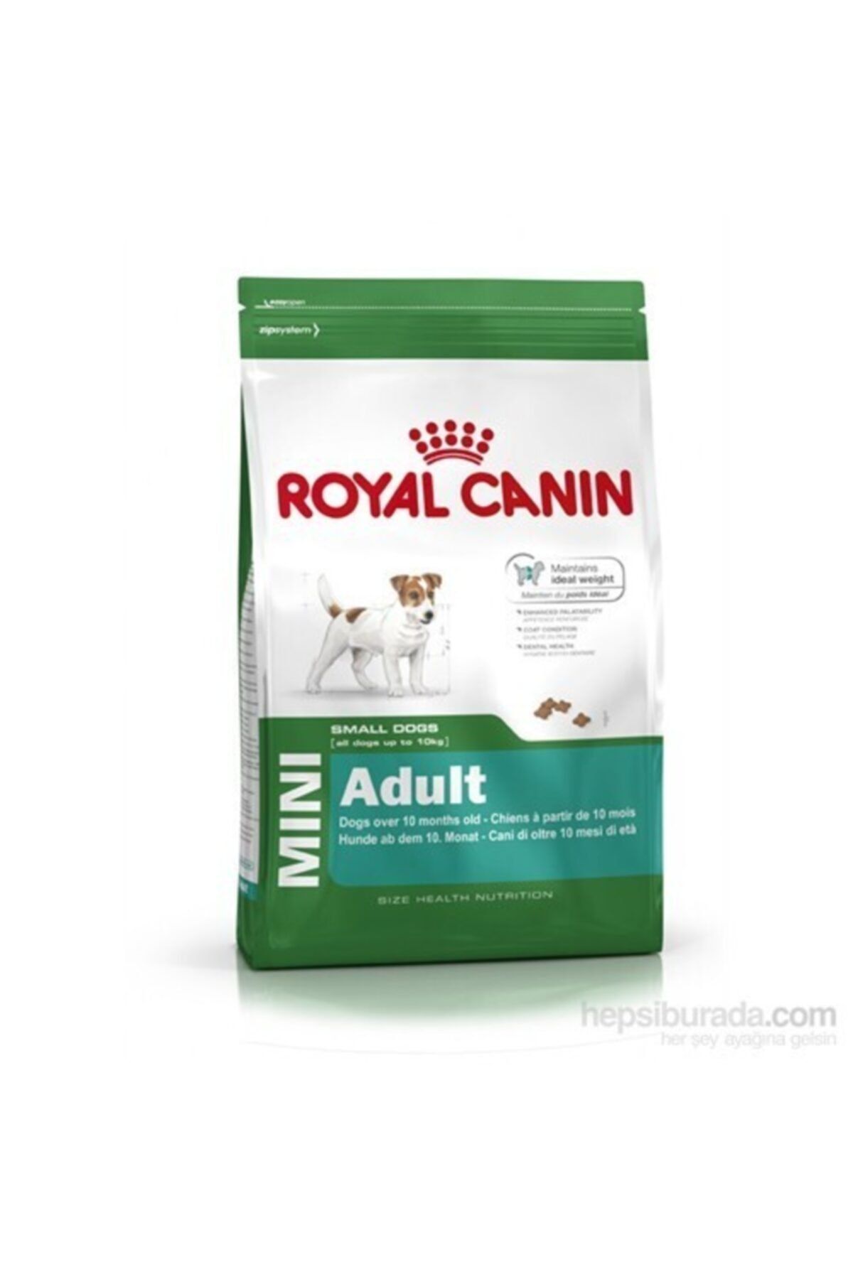 Royal Canin Shn Mini Adult Yetişkin Küçük Irk Köpek Maması 2 Kg