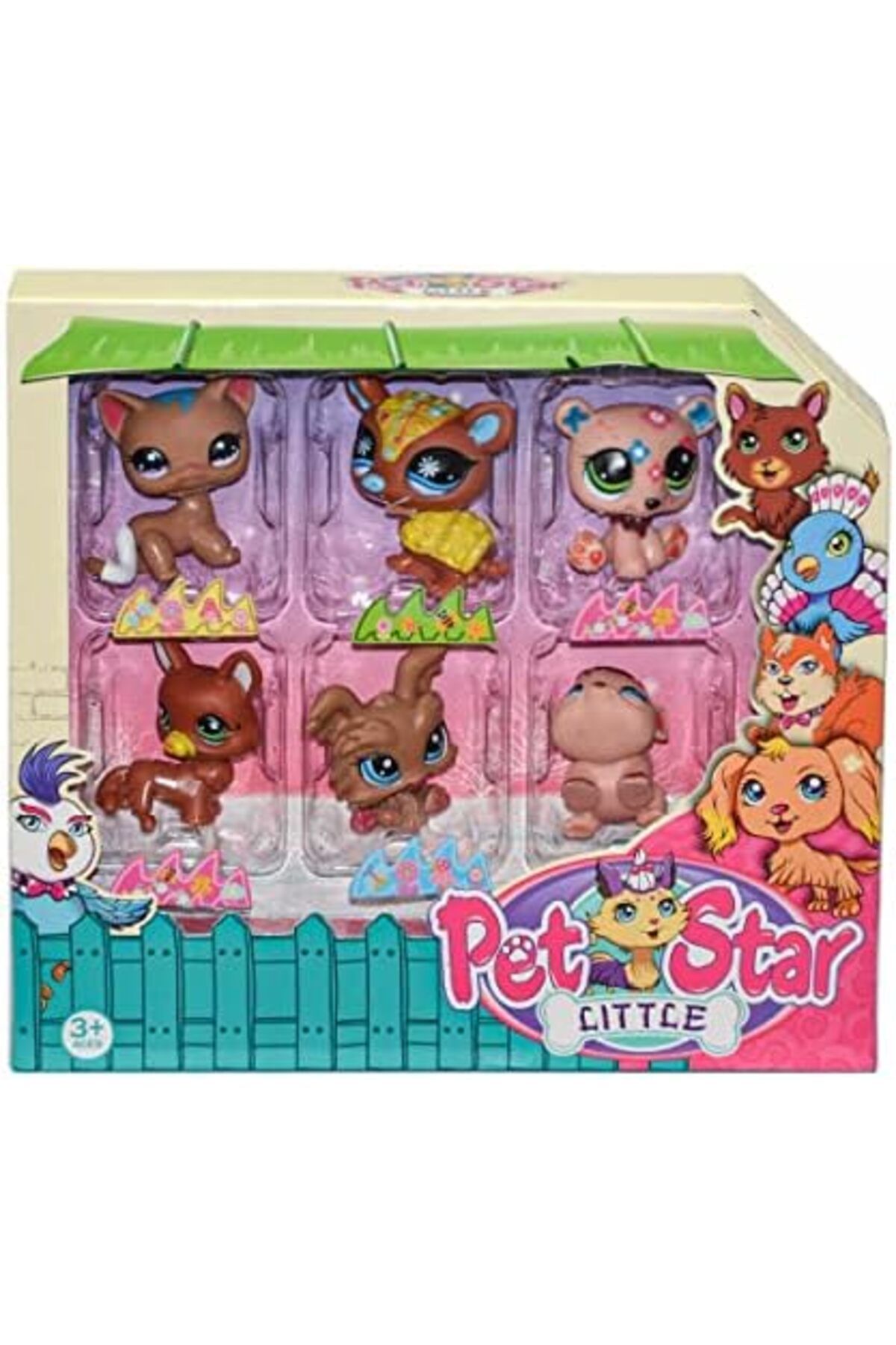 KIZILKAYA PET STAR LITTLE 6LI MINIS