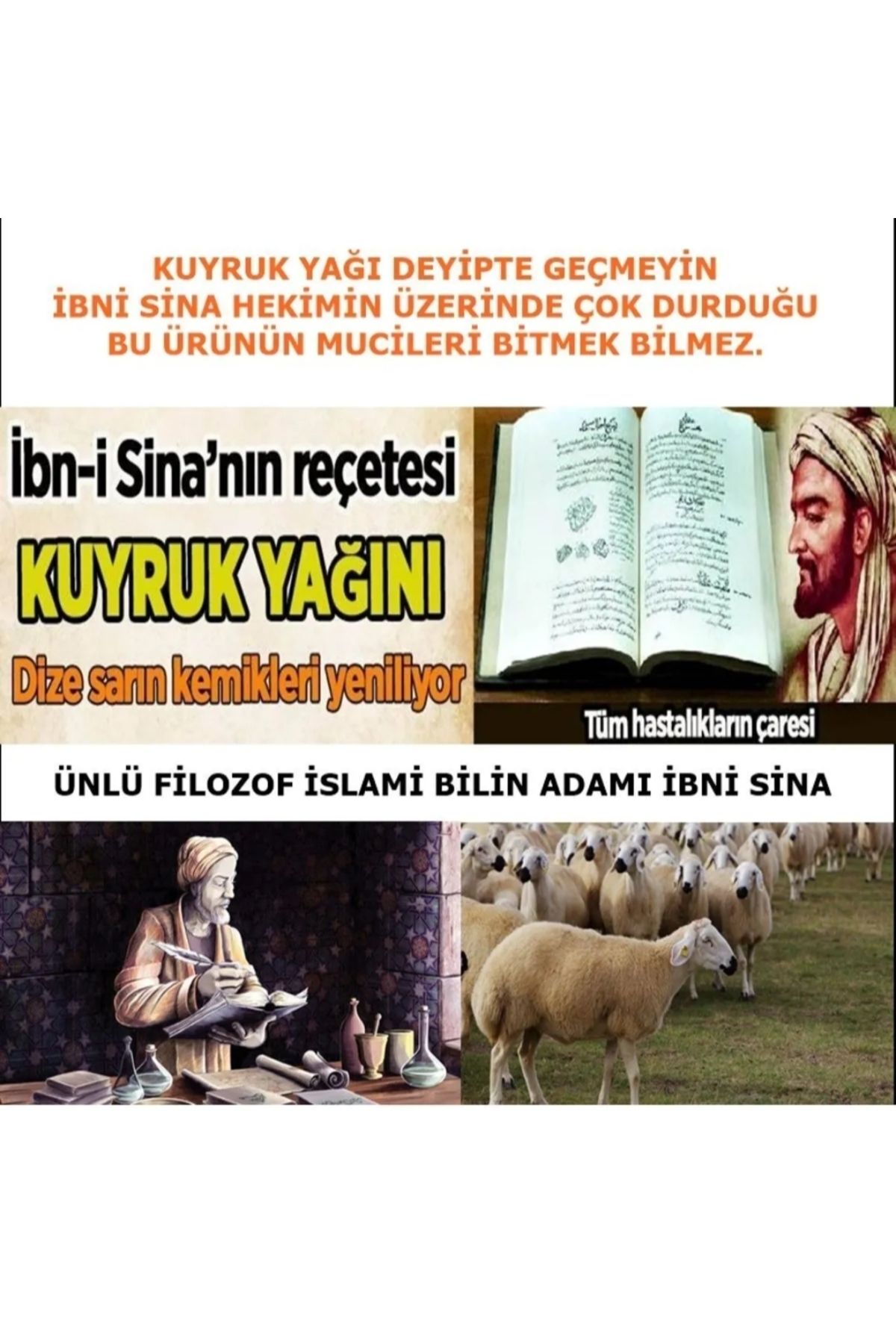 (ALABALIK,KUYRUK,BAMYA) Tohumu Yağı Özlü Krem Yepyeni Güçlendirilmiş Ibn-i Sina Formülüyle (210 ml )