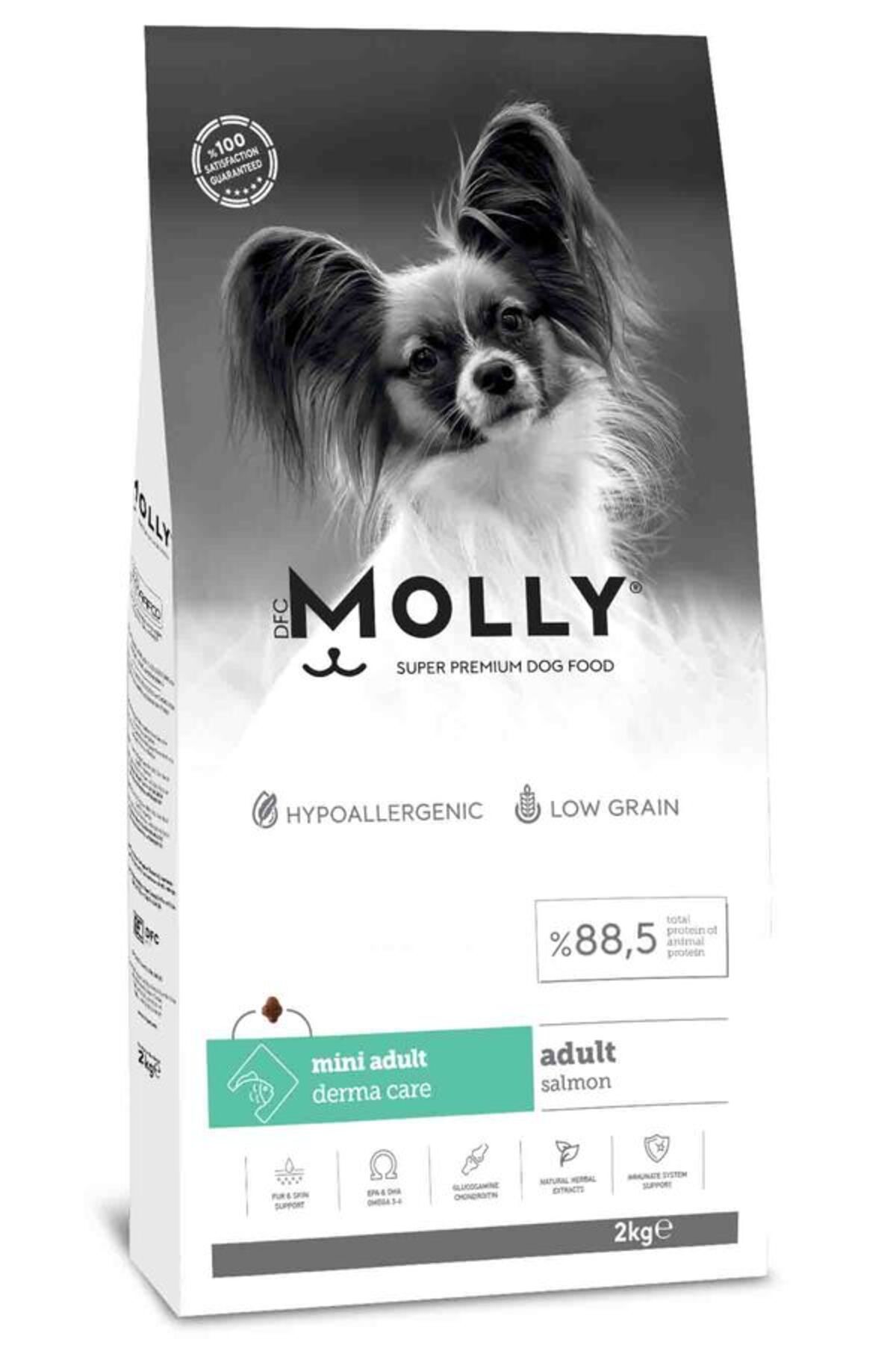 Molly Somonlu Mini IrkYetişkin Köpek Maması 2...